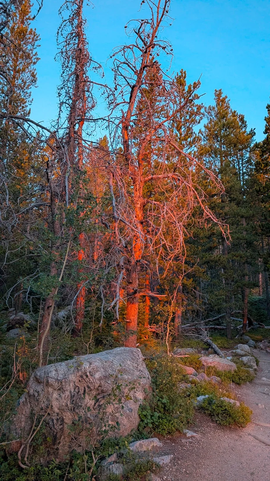 Estes-8.jpg