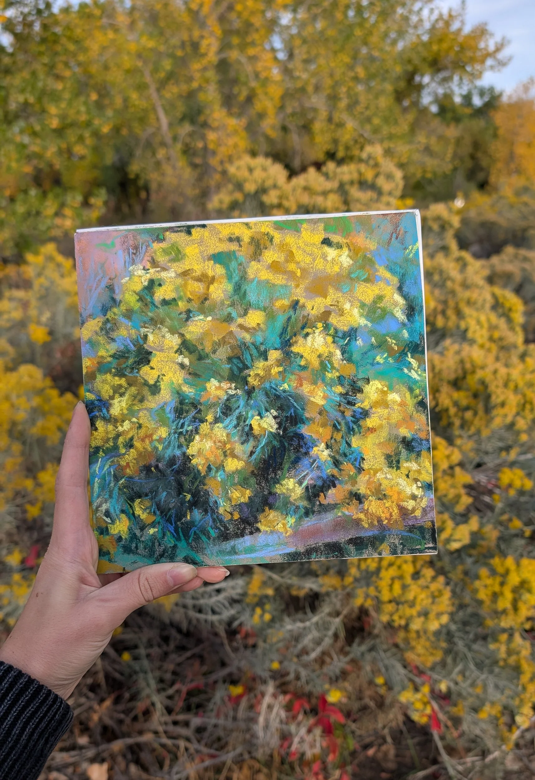 Rabbitbrush.jpg