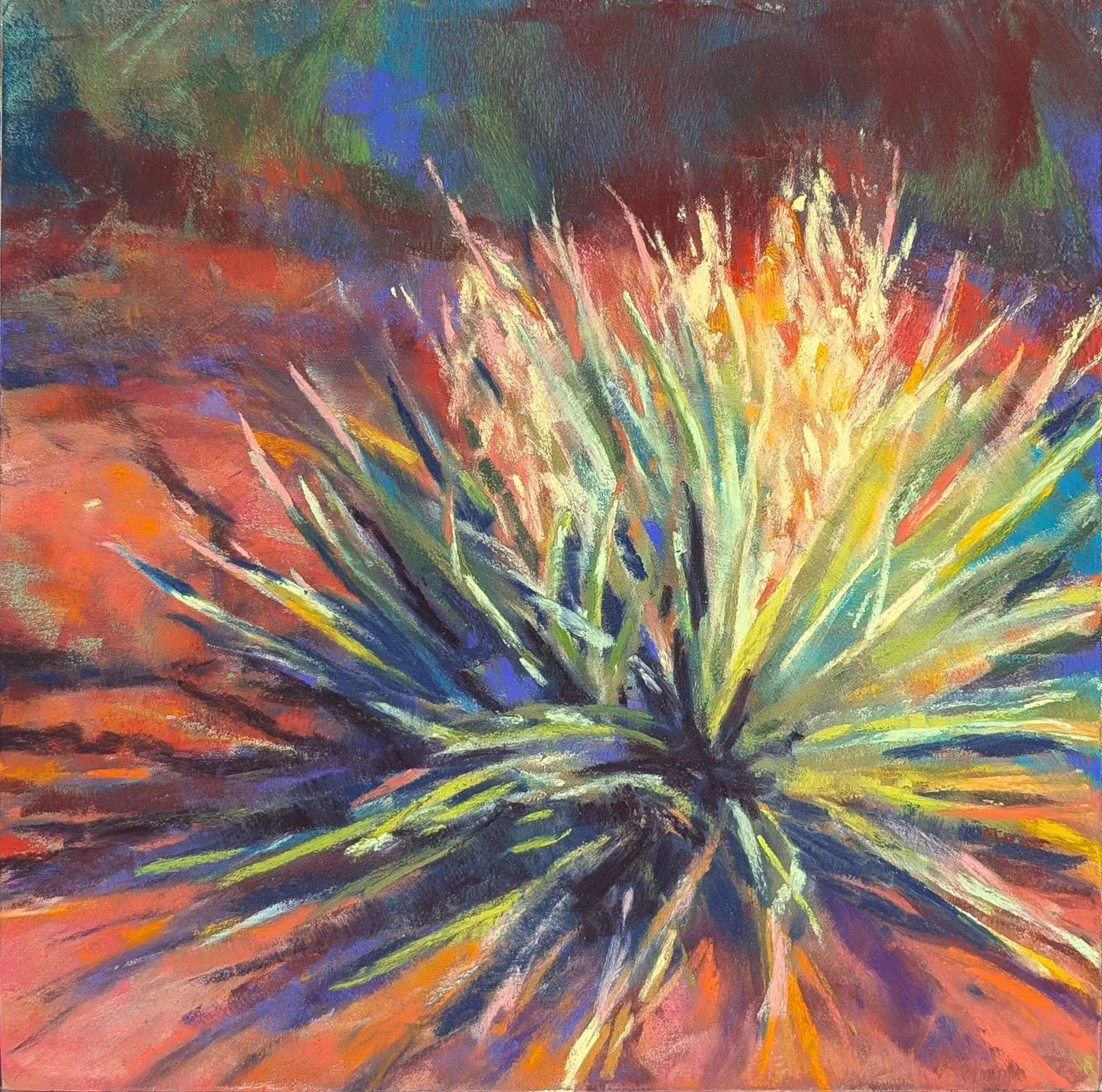 blooming-yucca2.jpg