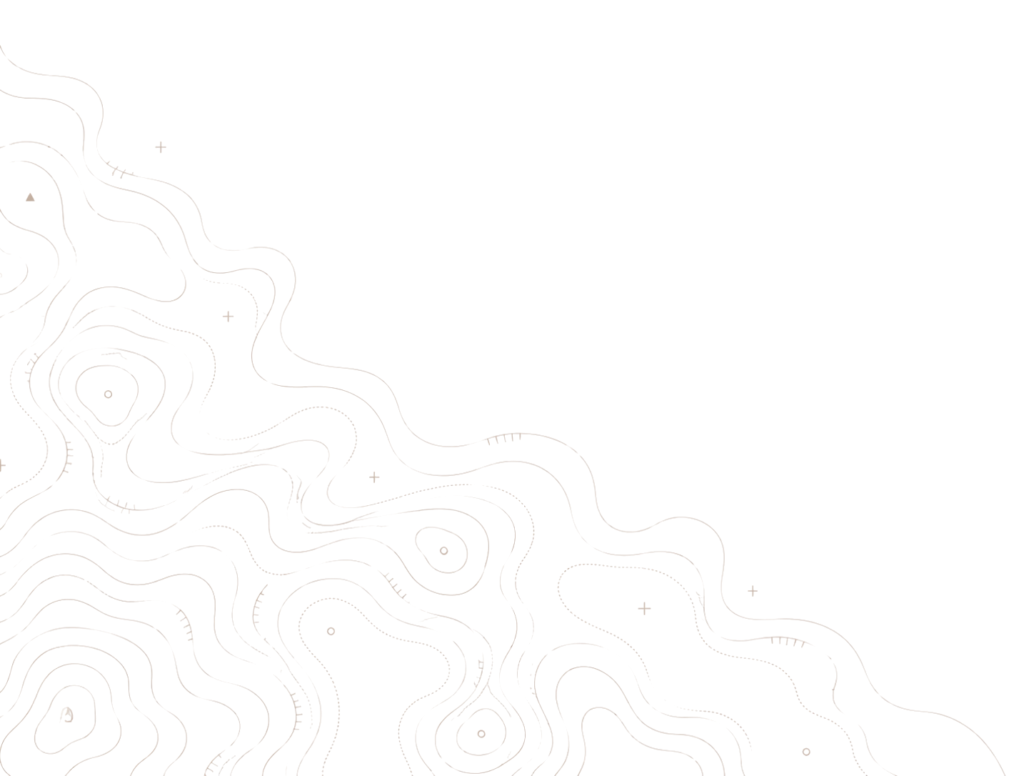 Light beige background with faint, thin contour lines forming topographic map patterns in the bottom left corner.
