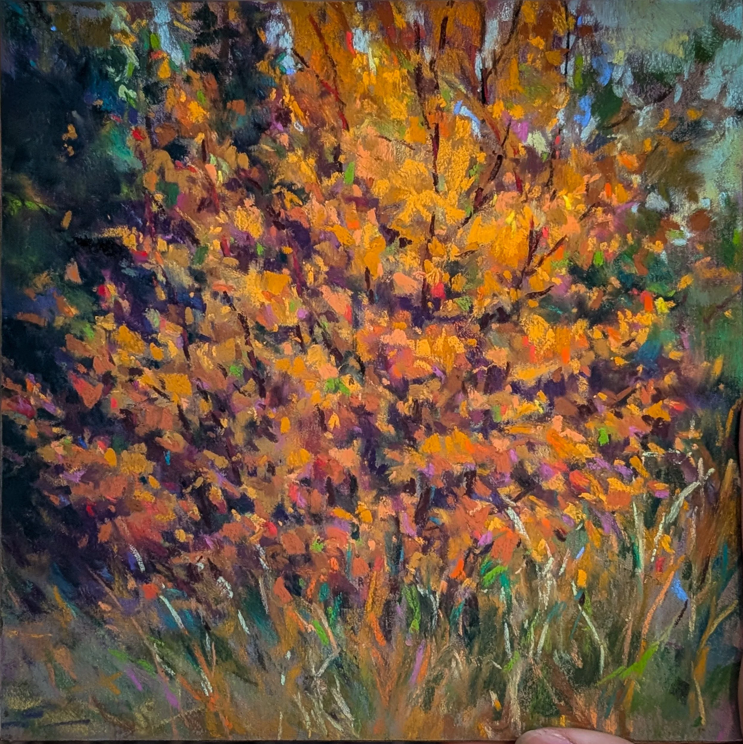 Studio pastel painting by Julia Robinson