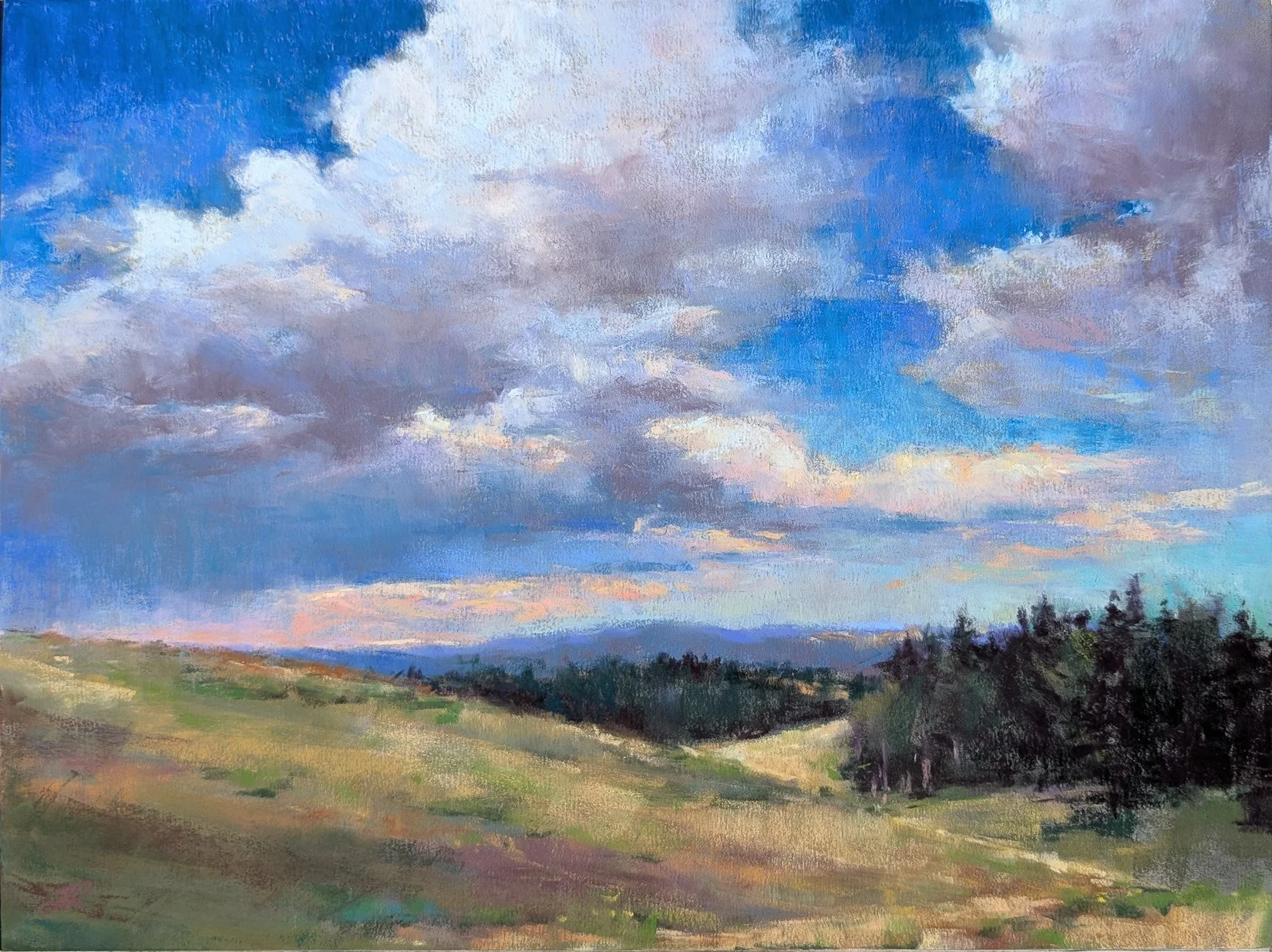 Cloud Country  |  12x16  | Woodland Park CO - 1st place award at Peak Art Adventure Plein Air Competition 2026