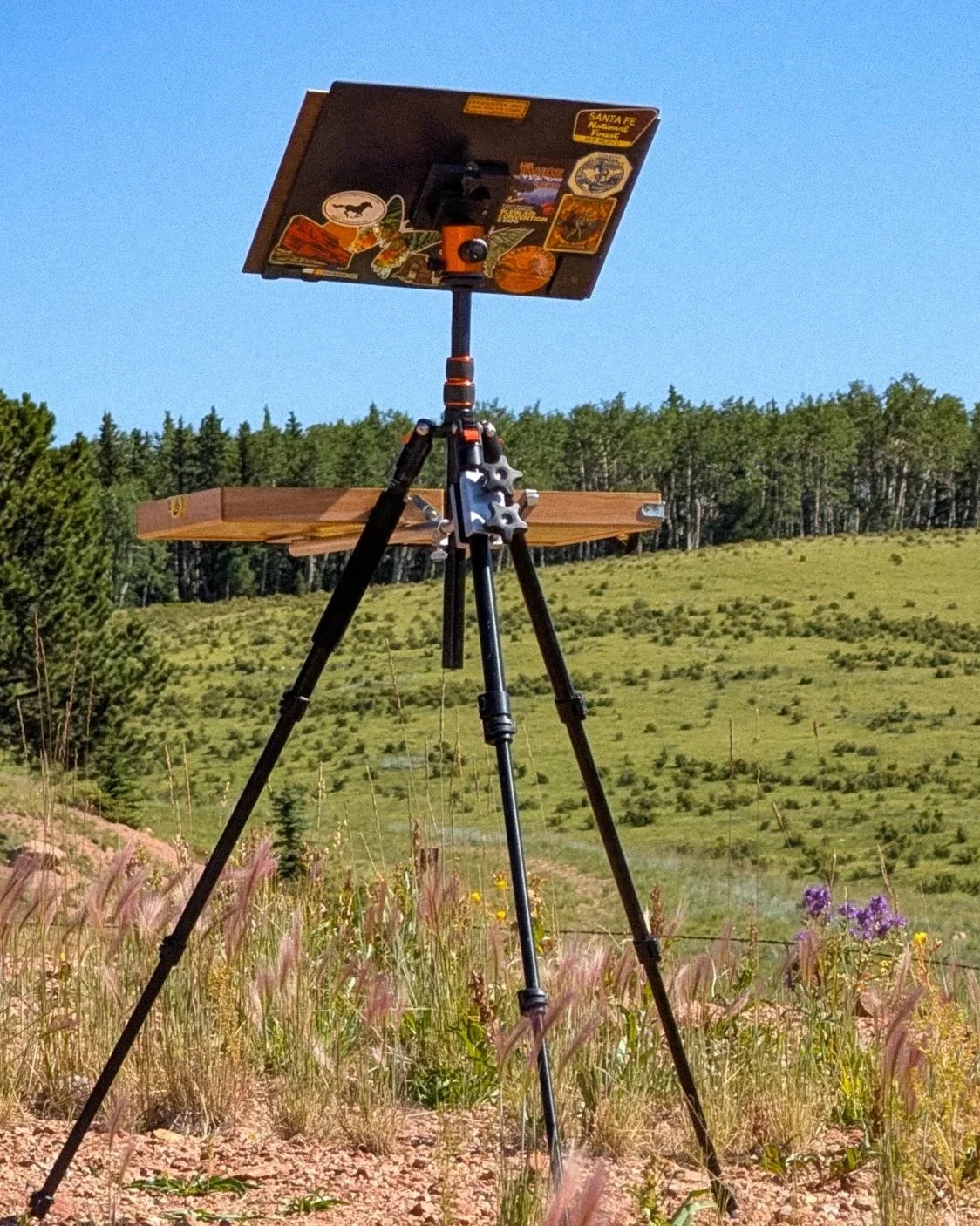 Julia Robinson's plein-air easel setup, with its back to the camera, displaying stickers collected from travels, set in a grassy field with wildflowers and a forested hillside in the background under a clear blue sky.