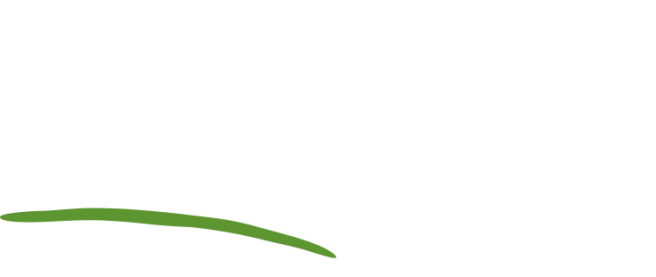 Shazam Racing. Proud partner of Frame Focus Creative.