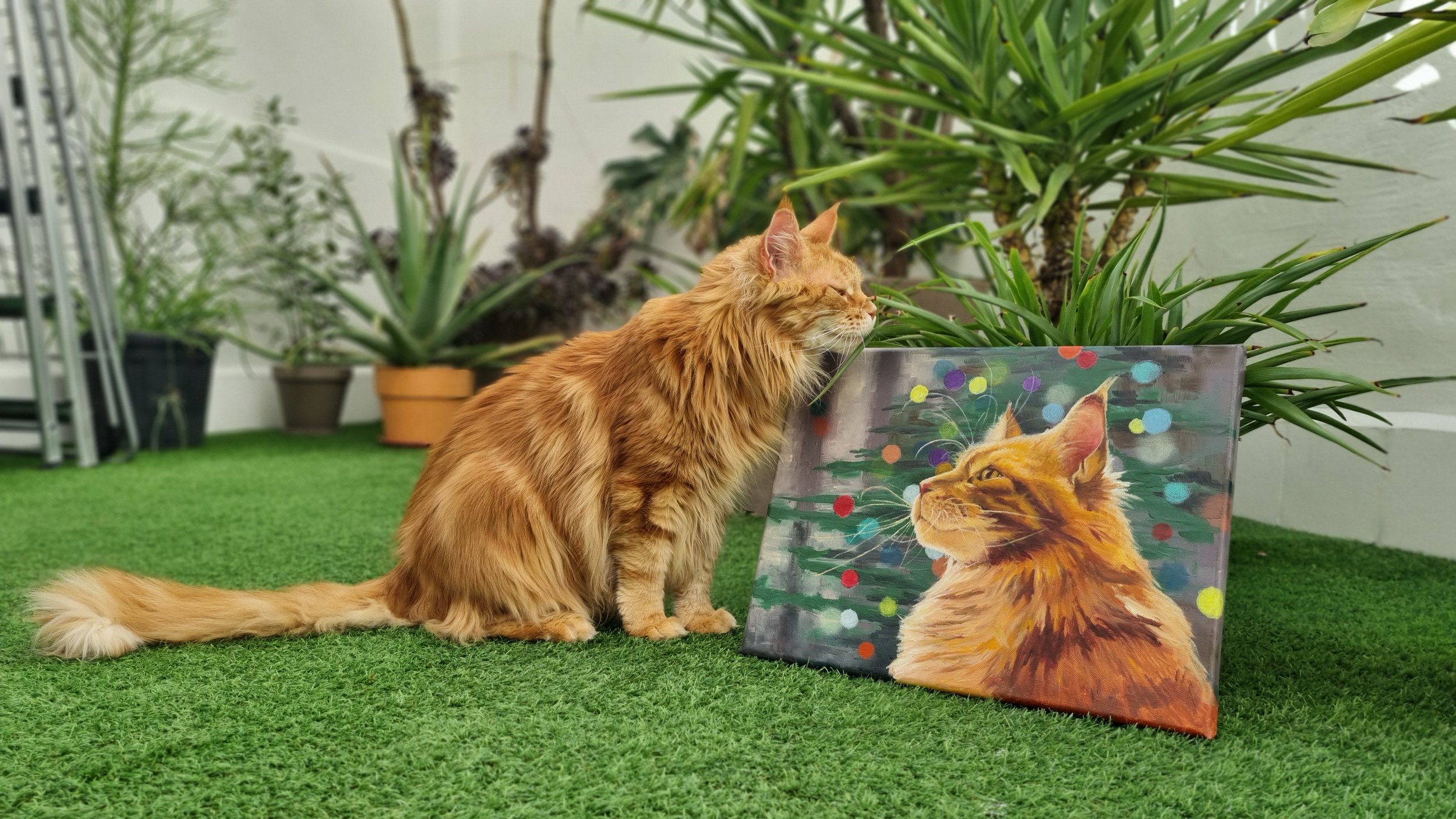 Maine coon with his portrait cat oil painting