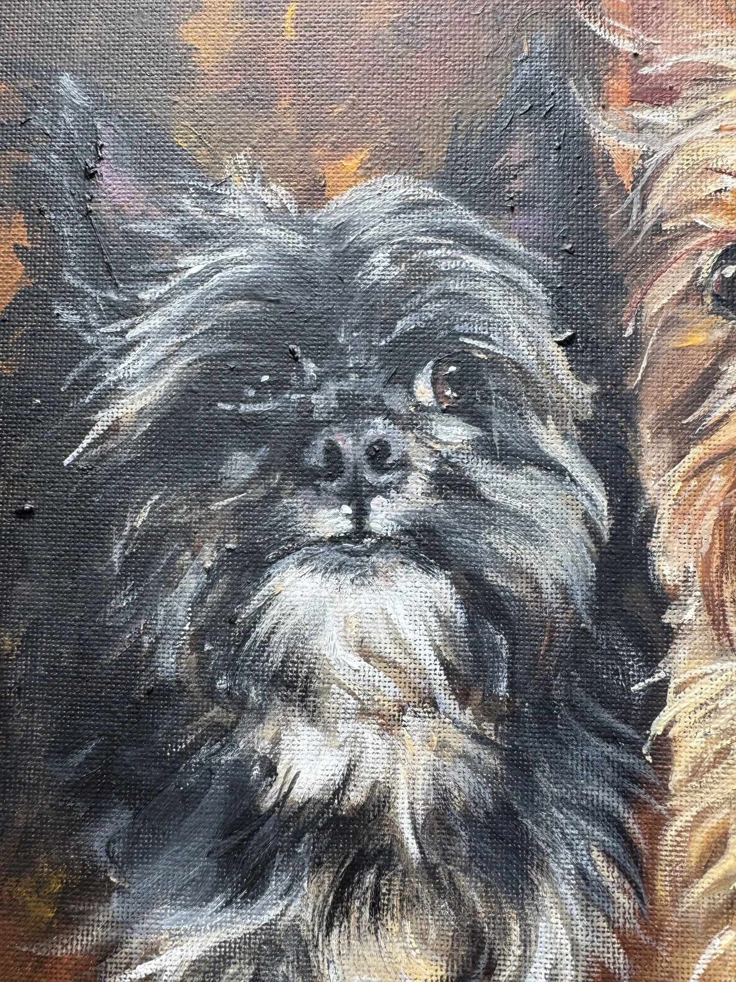 Close-up detail of a black and grey fluffy dog's face in an oil painting, textured brushstrokes dog art