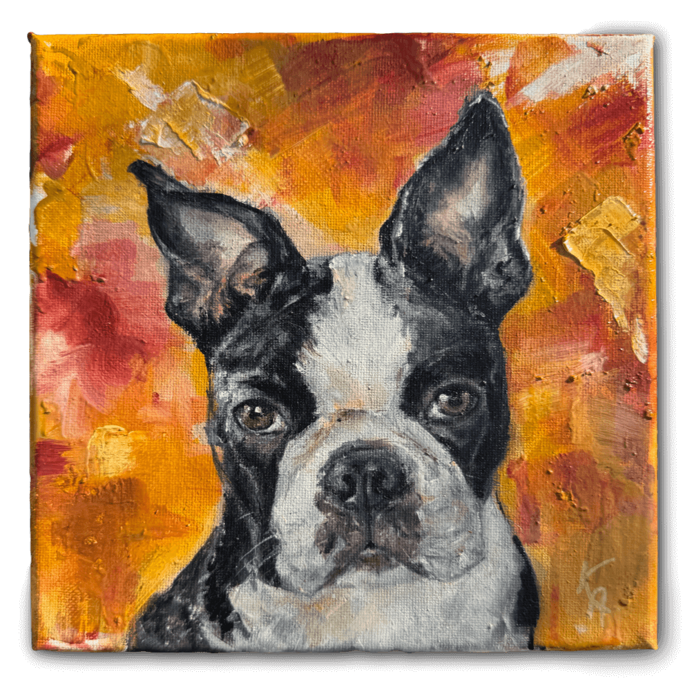 Boston Terrier portrait custom oil painting minimalist close-up colorful dog art