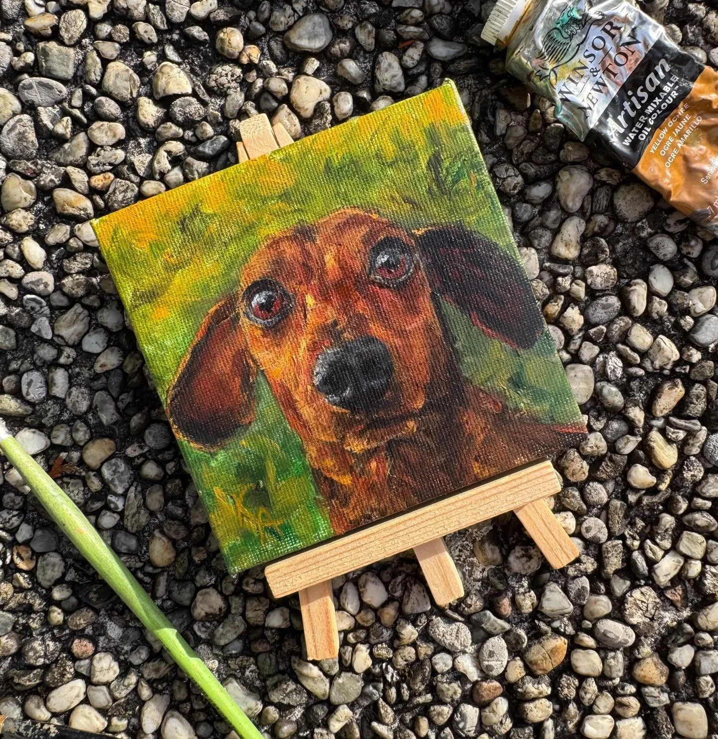 Ollie looks a bit surprised by his portrait&hellip;
but his mom and I agree:
100% adorable 🧡

Dachshund portrait
Hand painted with love in oil on canvas

#doxie #custompetportrait #dachshundportrait #oilpainting