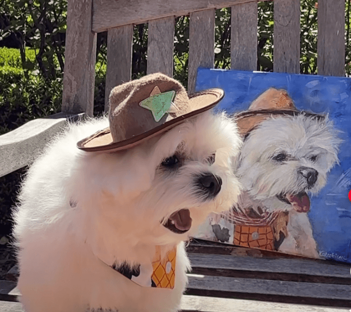 maltese dog oil painting dog portrait custom dog art contemporary Maltese artwork