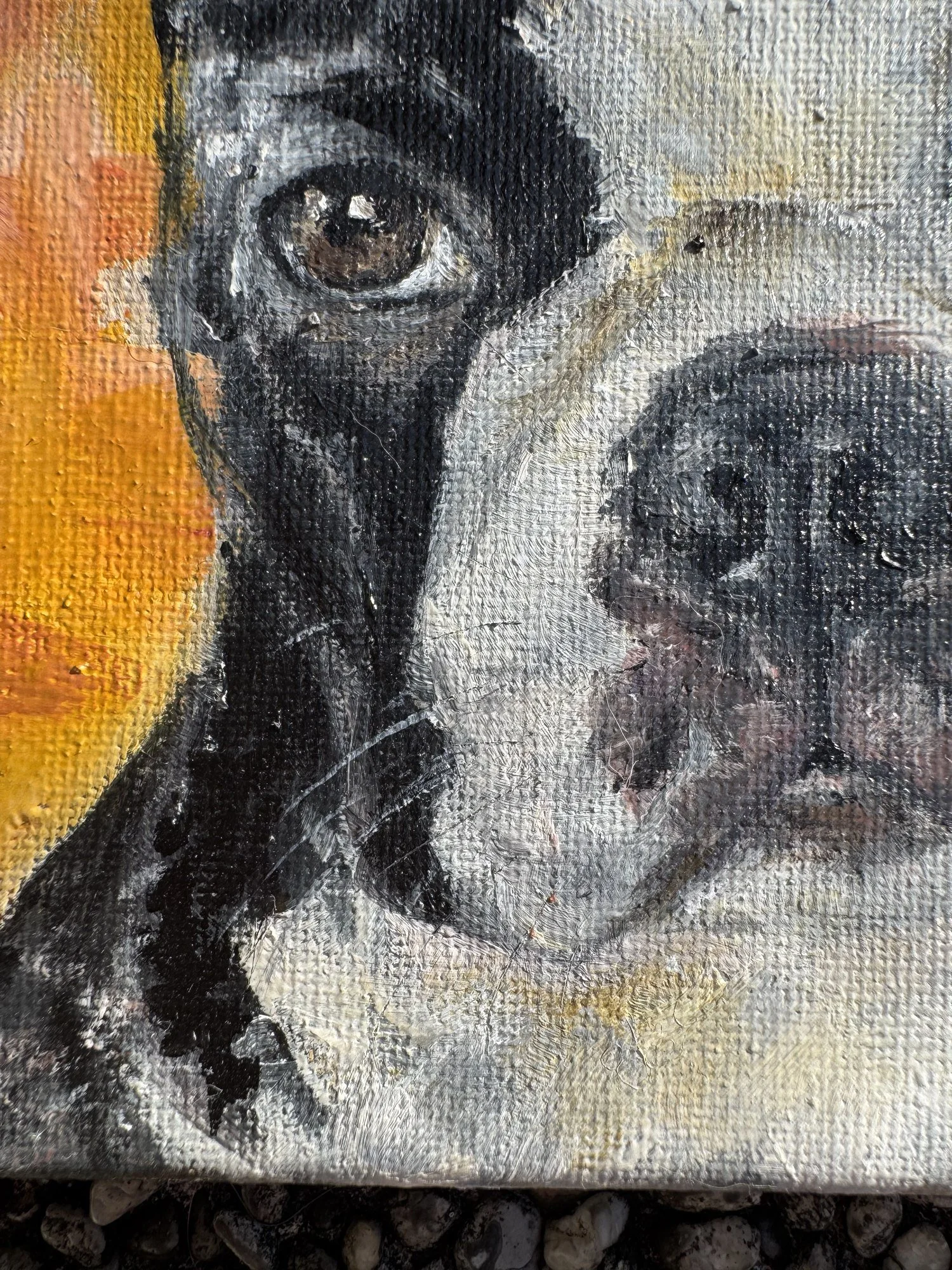 Bostie painting custom oil pet portrait minimalist close-up colorful dog art