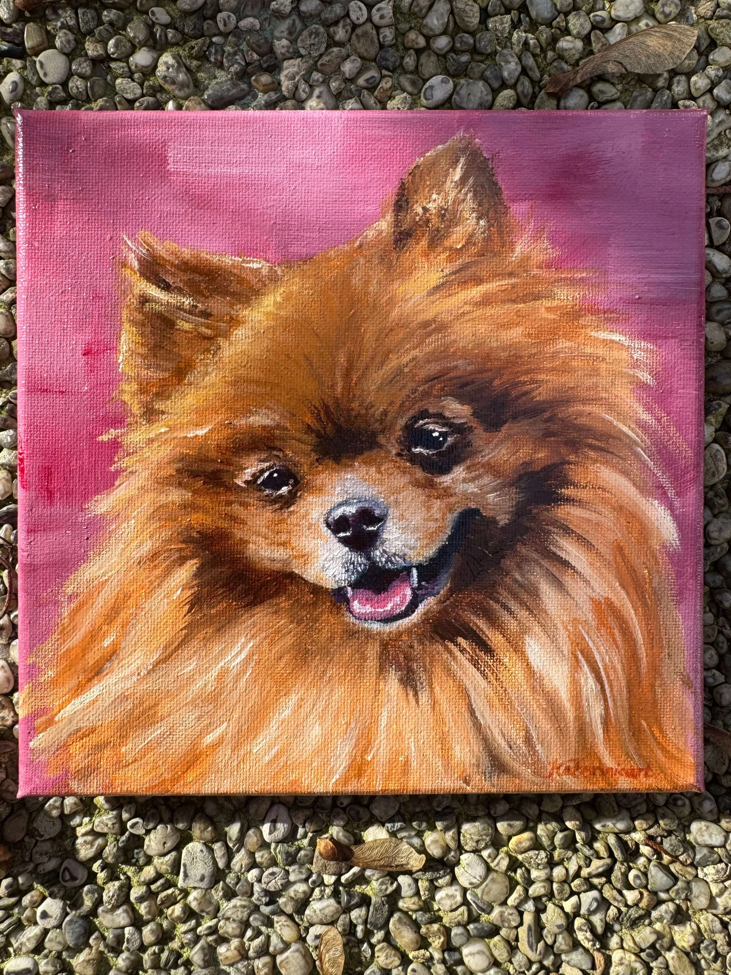 Pomeranian dog portrait dog art Pomeranian painting custom dog portrait