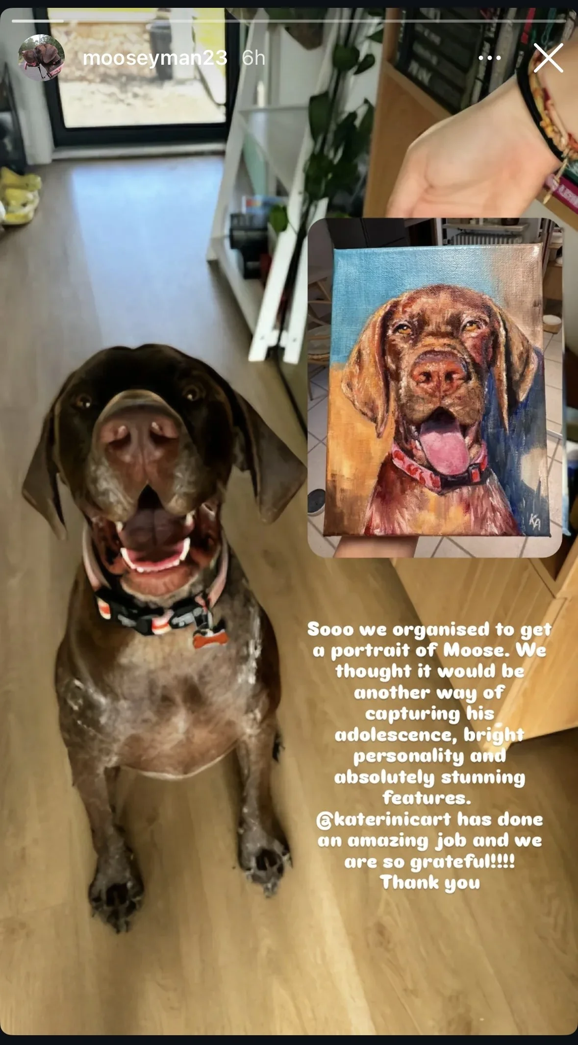 GSP with his portrait dog oil painting