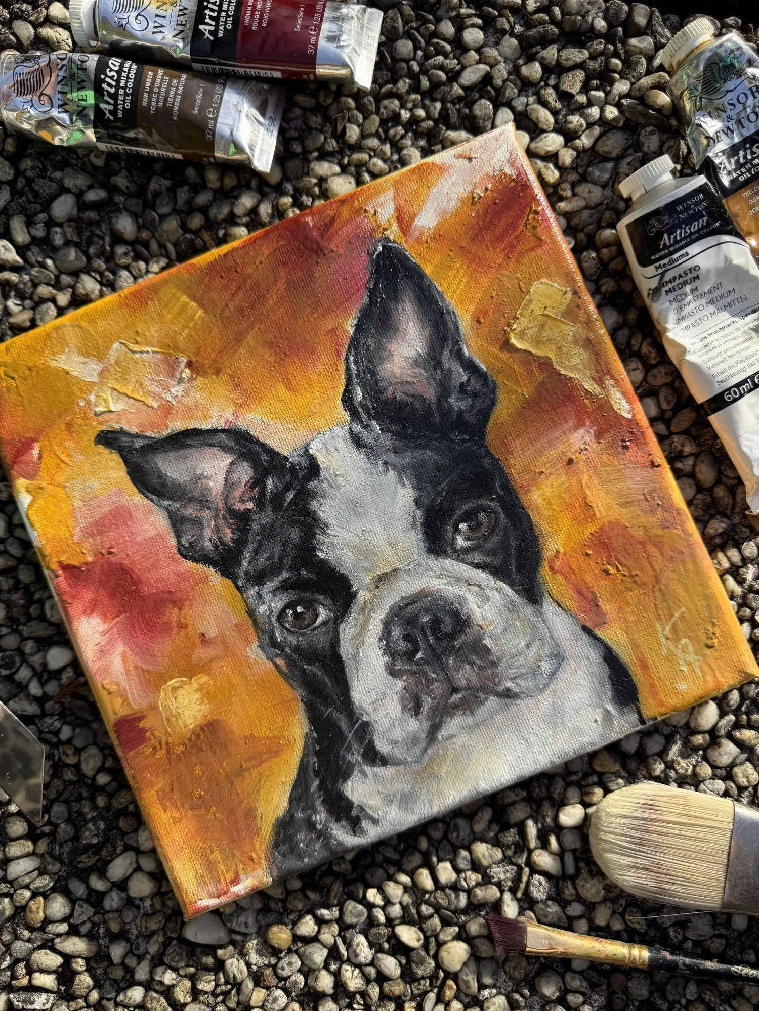 Boston Terrier art bostie oil painting colorful dog portrait