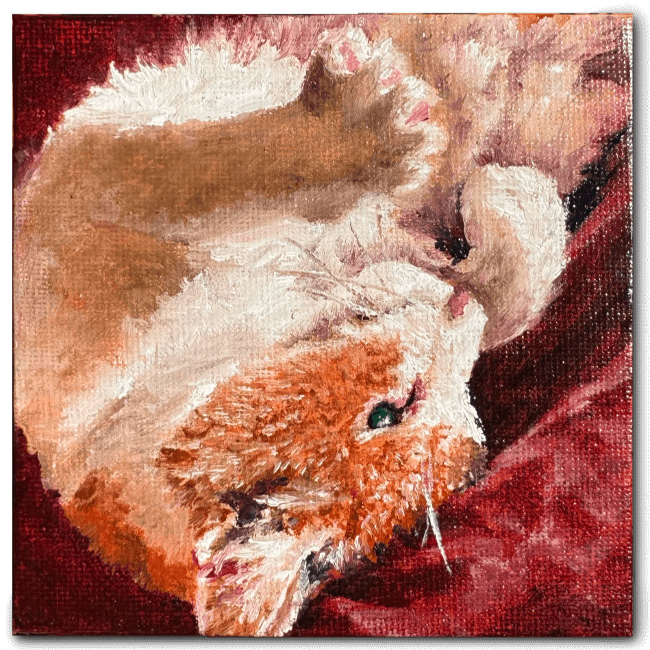 Portrait_Cats_Ginger Cat_Steffi.png