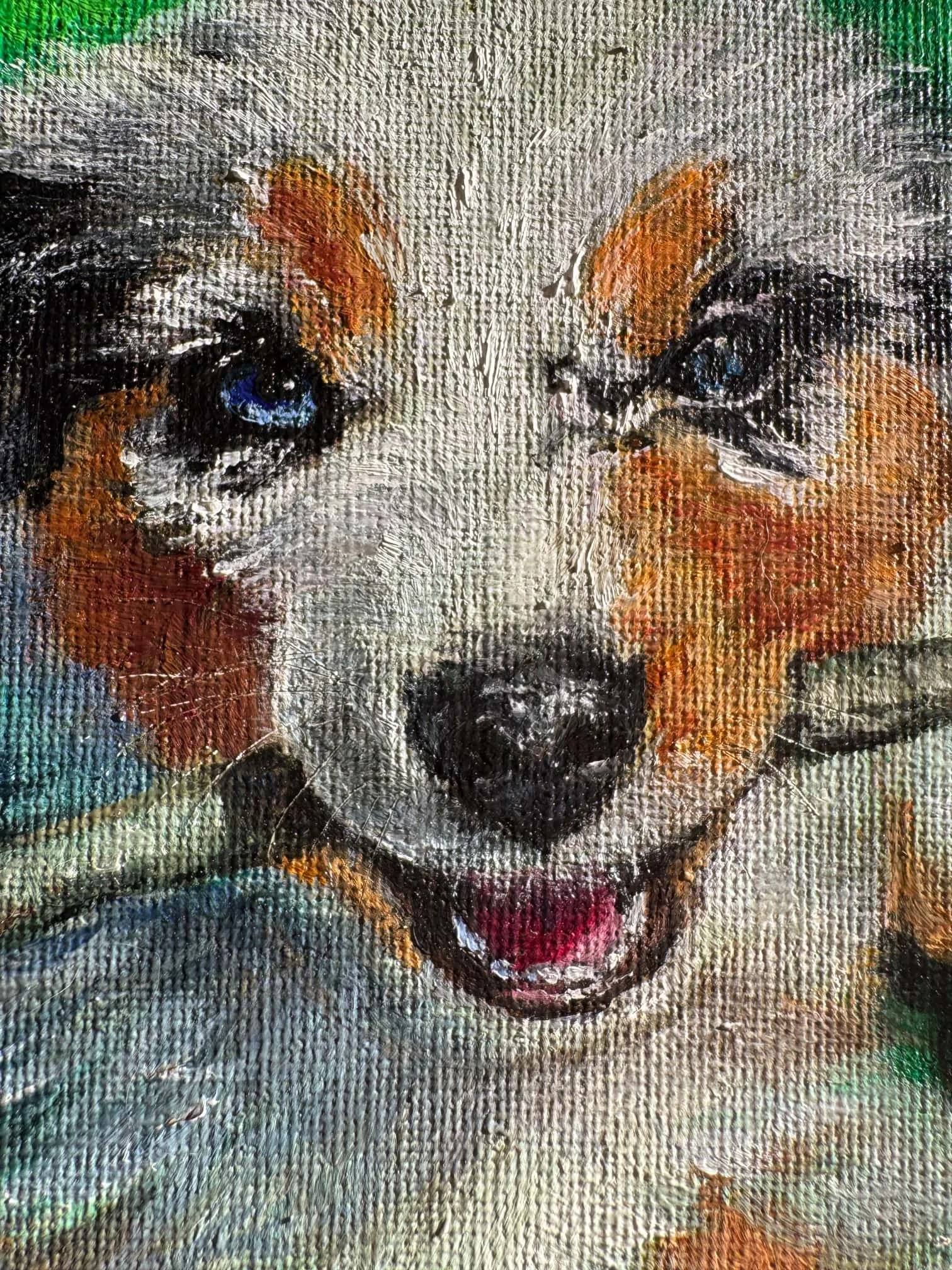 australian shepherd art close up incredible details australian shepherd artwork heterochromia portrait