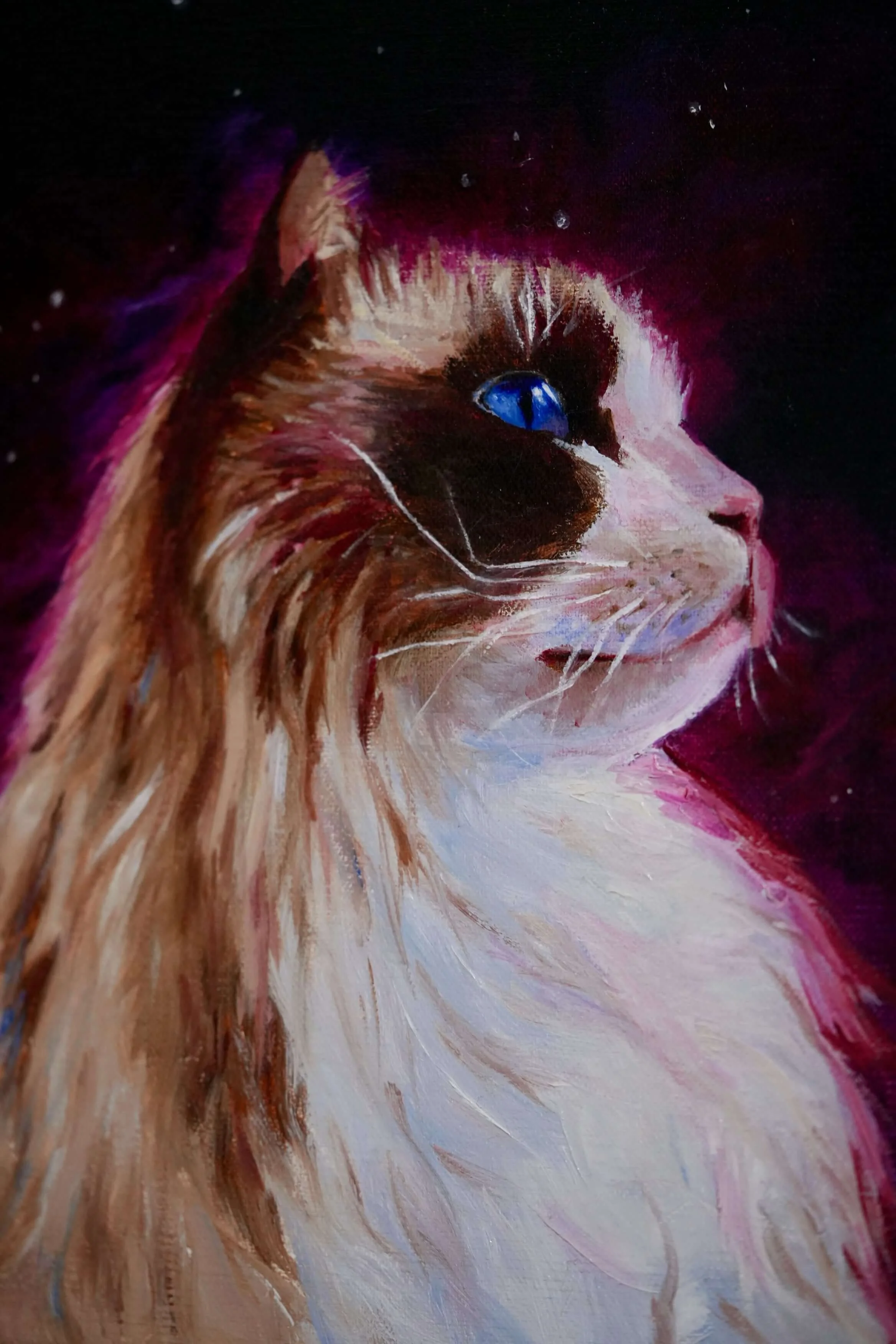 ragdoll cat portrait oil painting