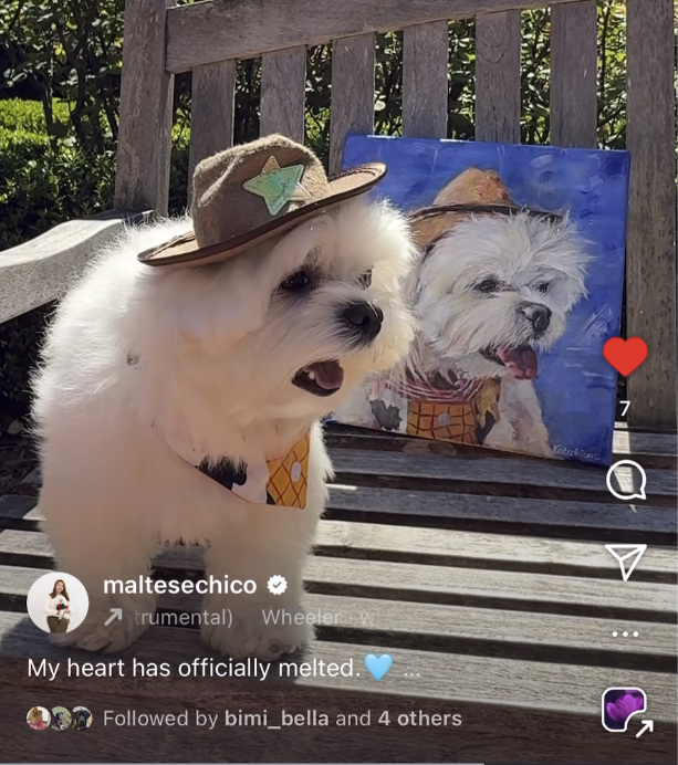 Maltese with his portrait dog oil painting