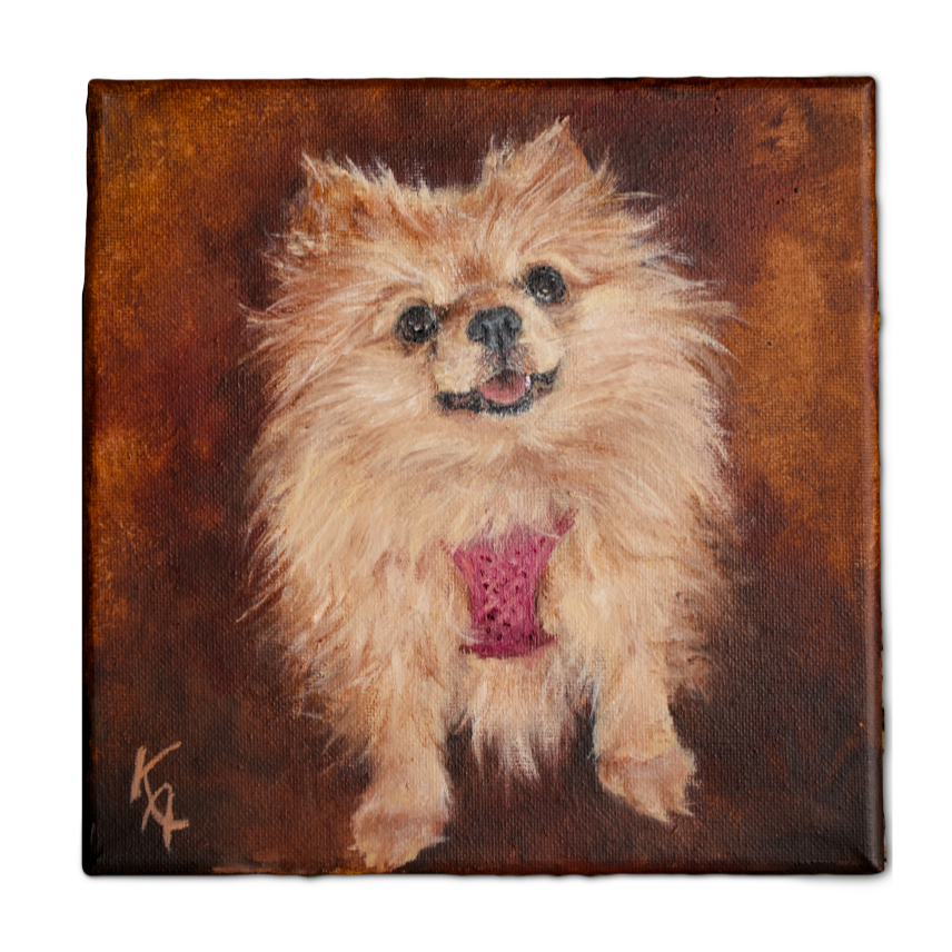 Portrait_Dogs_pomeranian_Diva.png