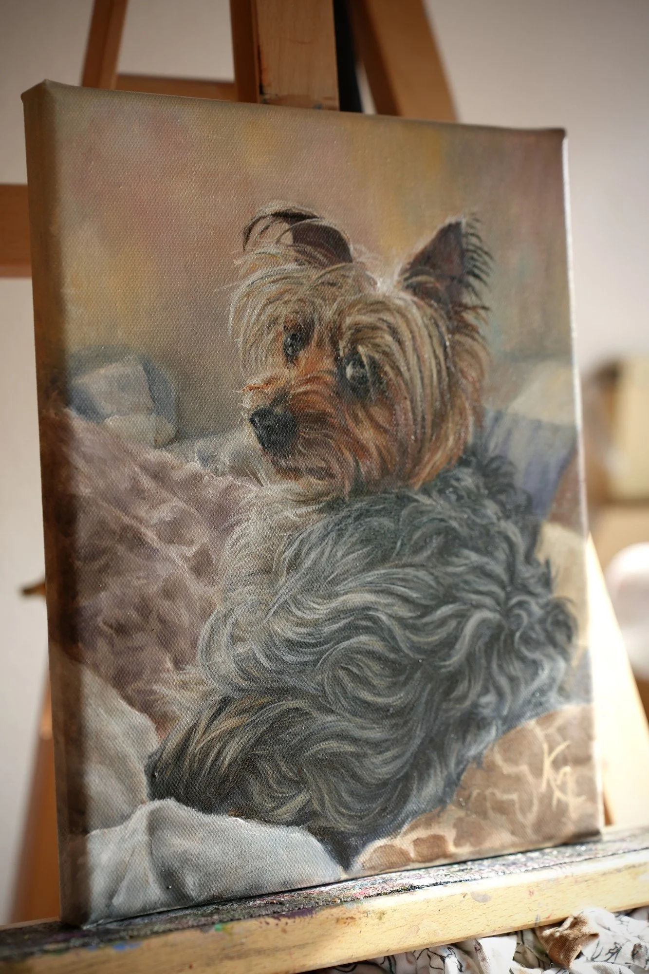 Side view of a finished Australian Silky Terrier oil painting on a wooden easel, showing canvas depth and texture