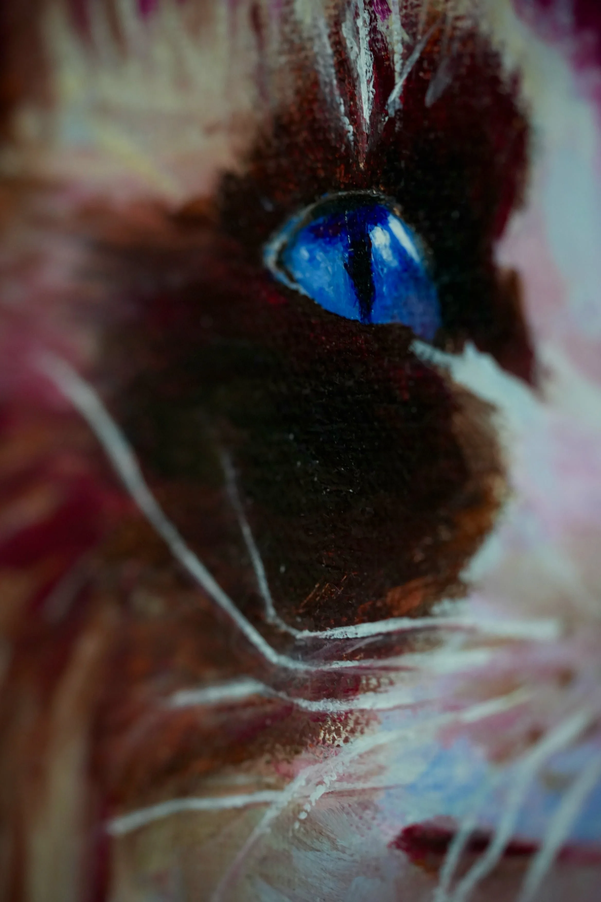 ragdoll cat artwork