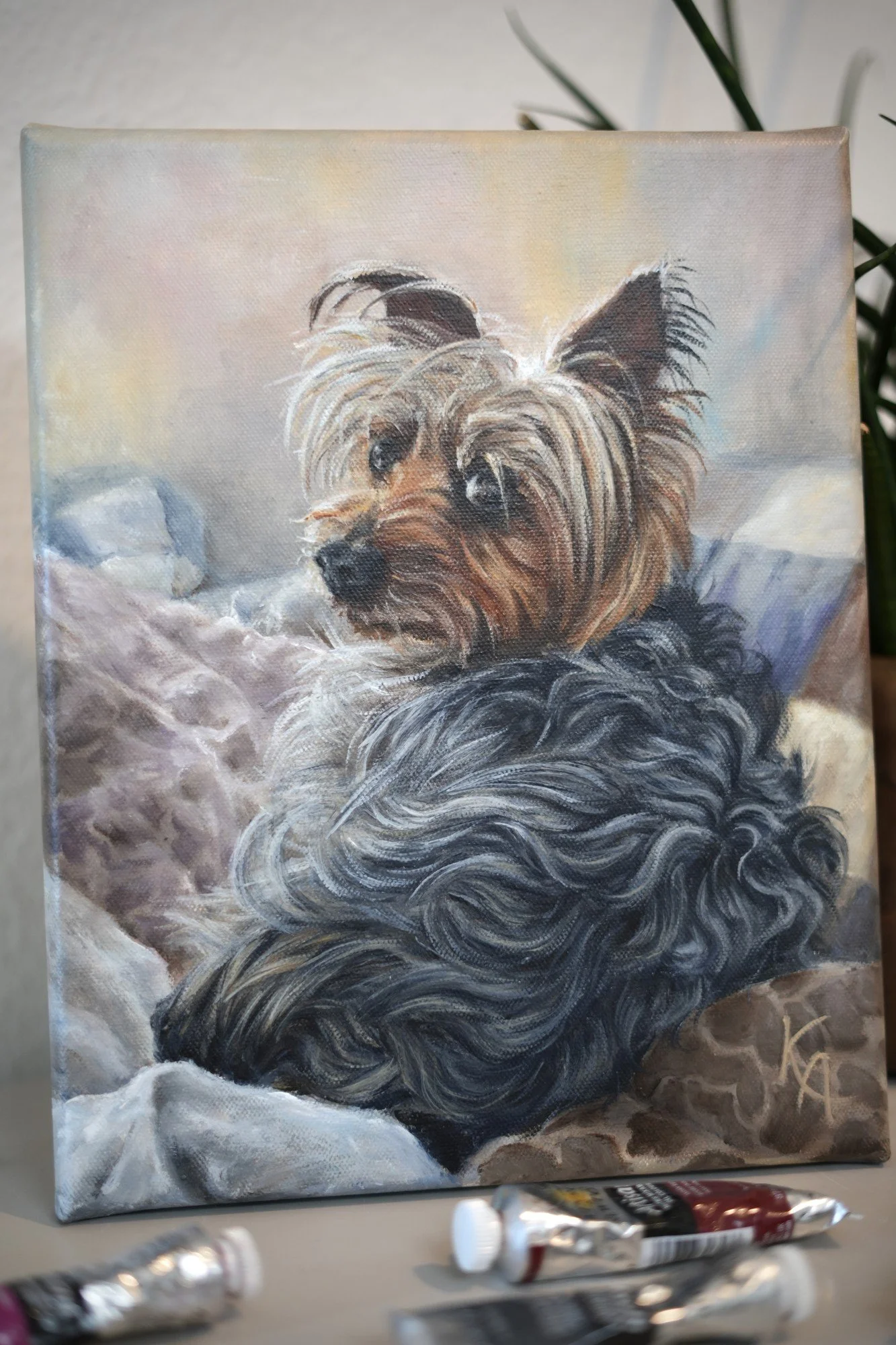 oil painting portrait of an Australian Silky Terrier resting on pillows, warm soft lighting