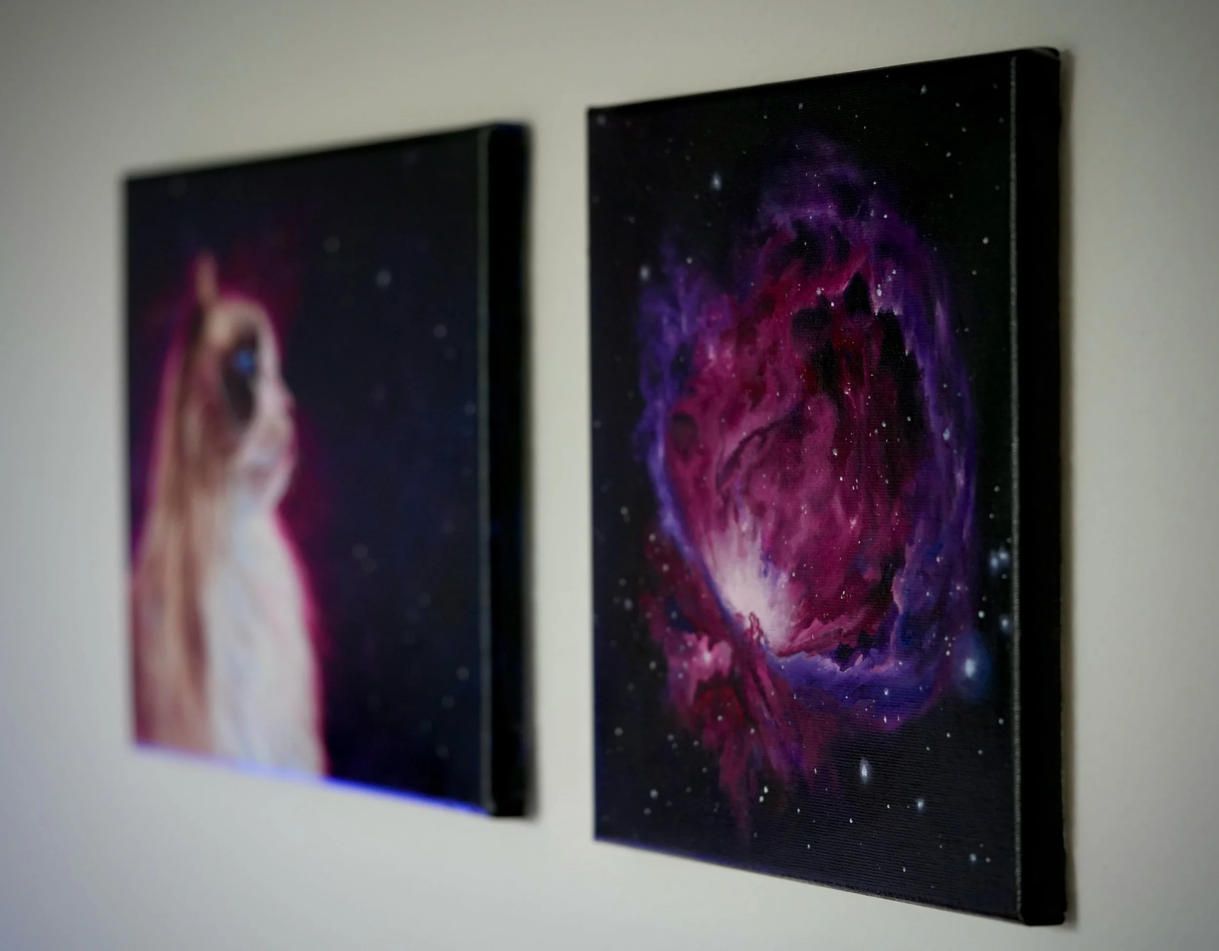 ragdoll cat space art
