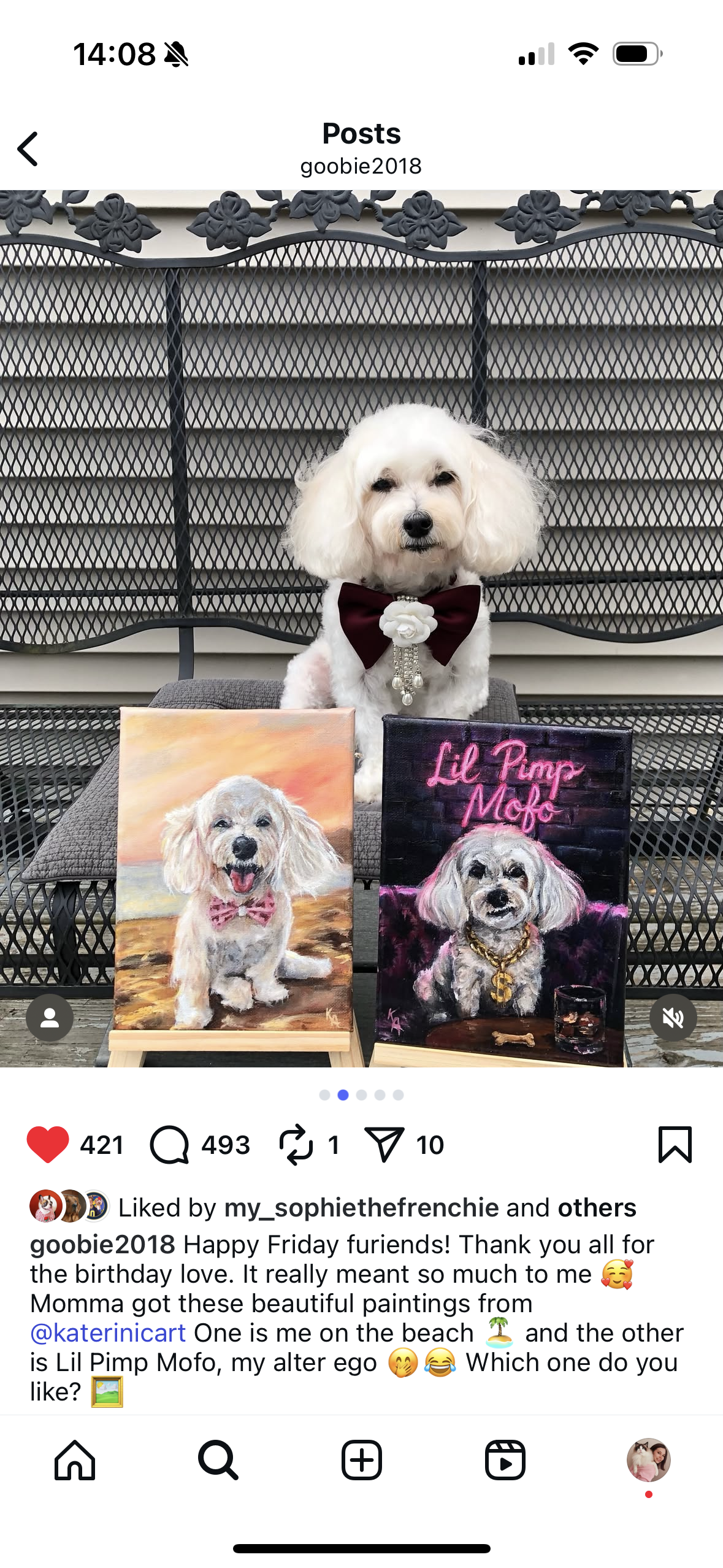Cavapoo with his portrait dog oil painting