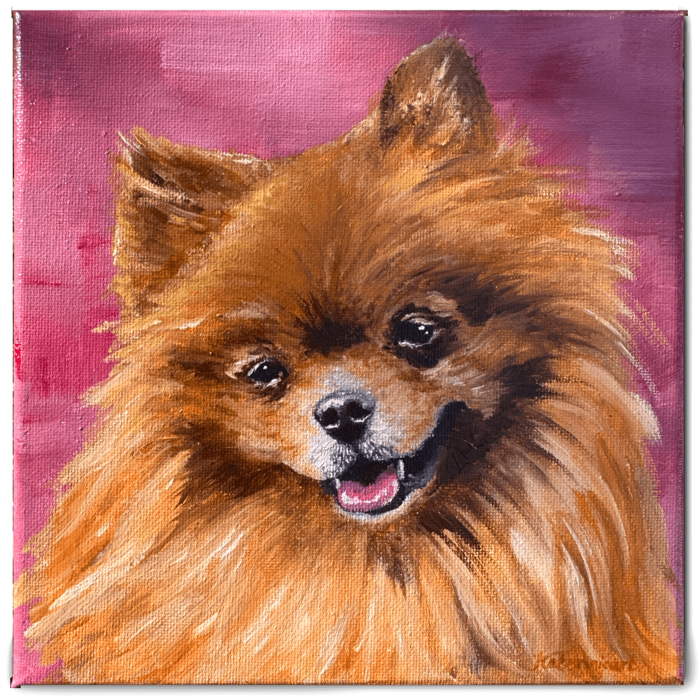 Portrait_Dogs_pomeranian_Bella.png