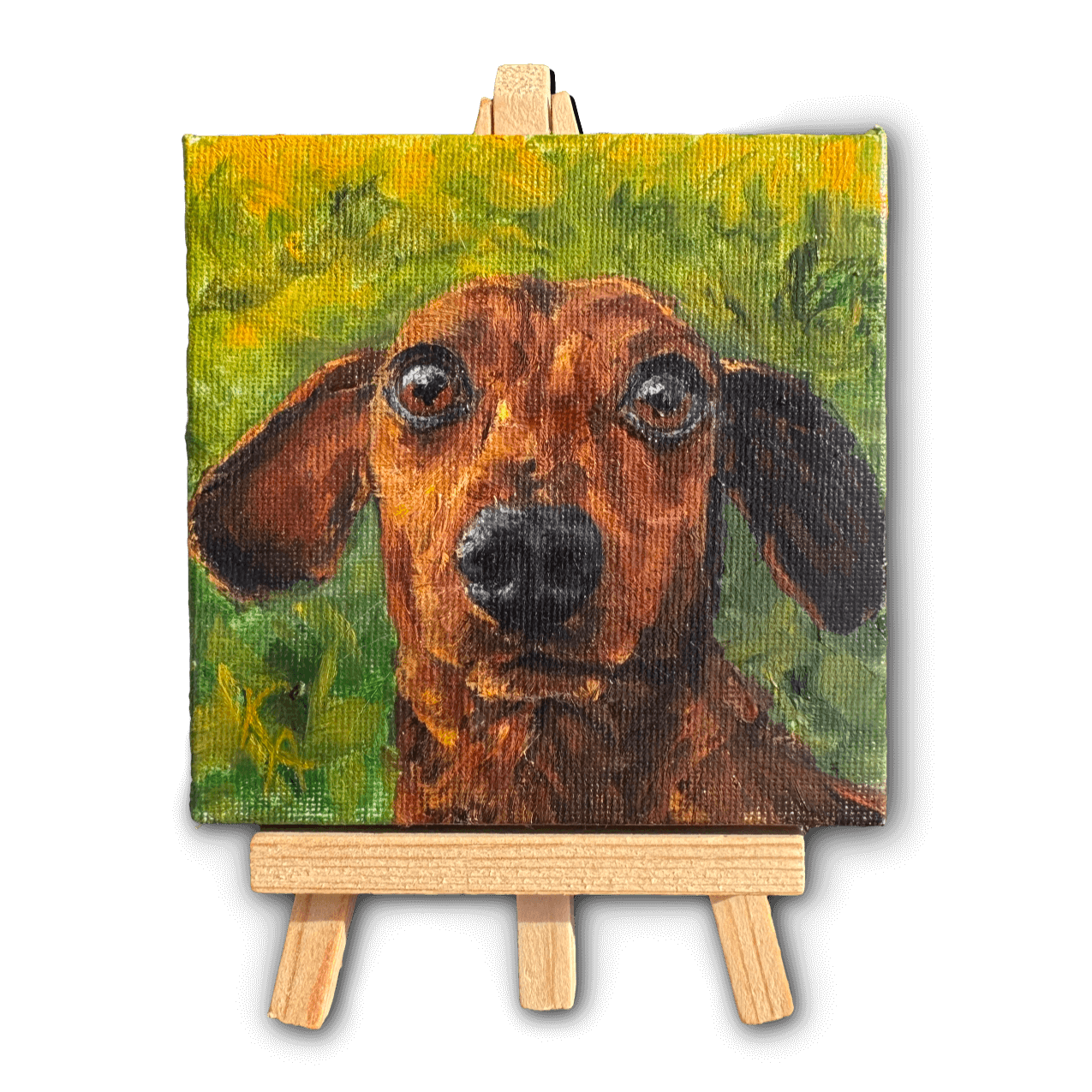Portrait_Dogs_wiener_Ollie.png