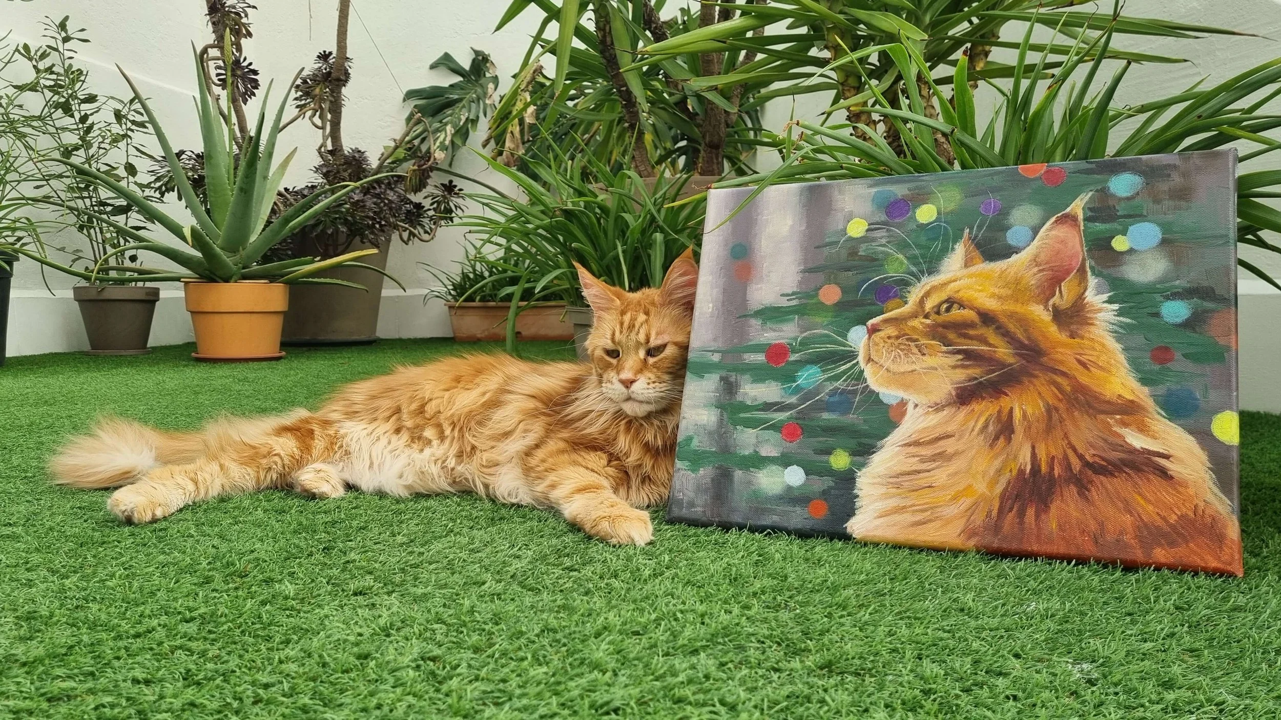 Maine coon with his portrait cat oil painting