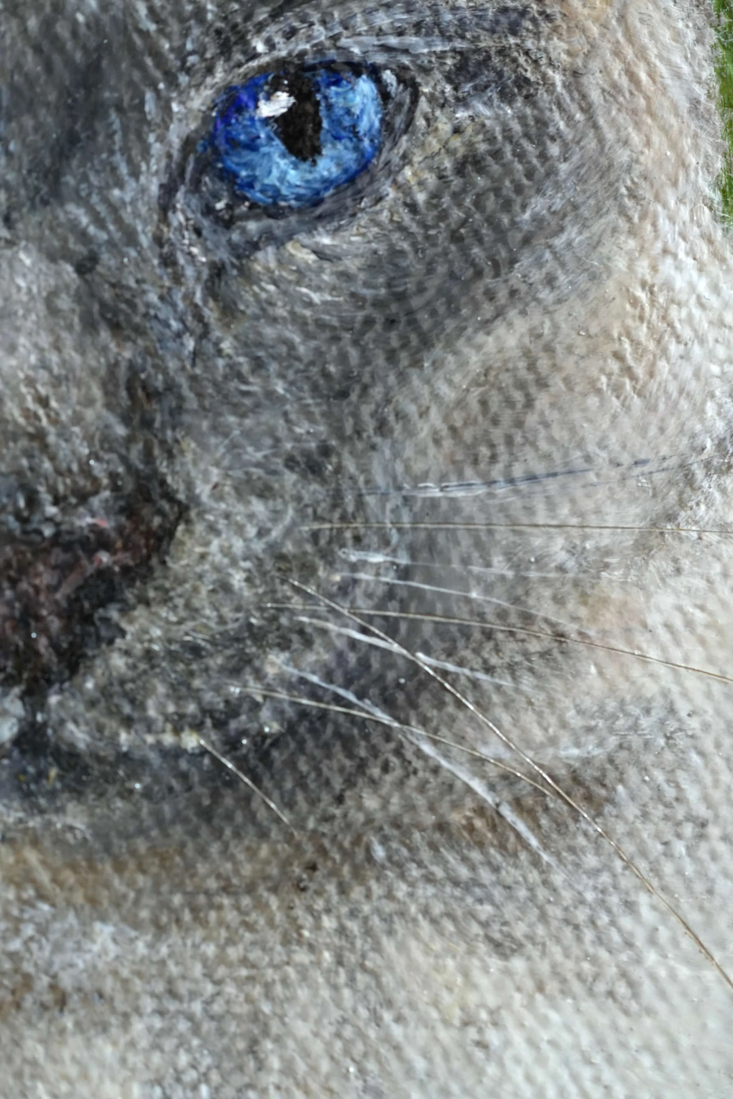 cat whiskers hand painted oil painting