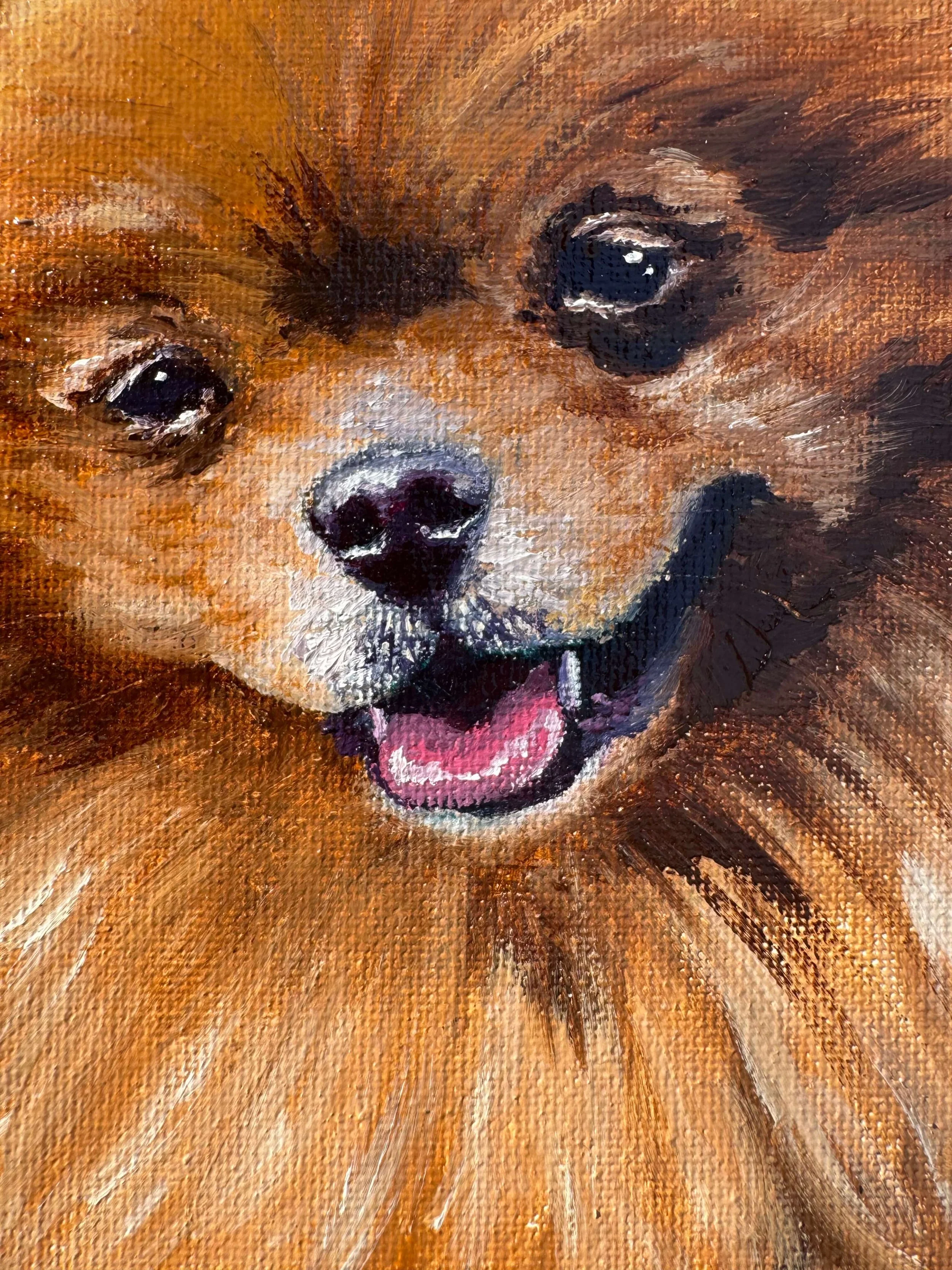 Pomeranian dog portrait hand painted dog art