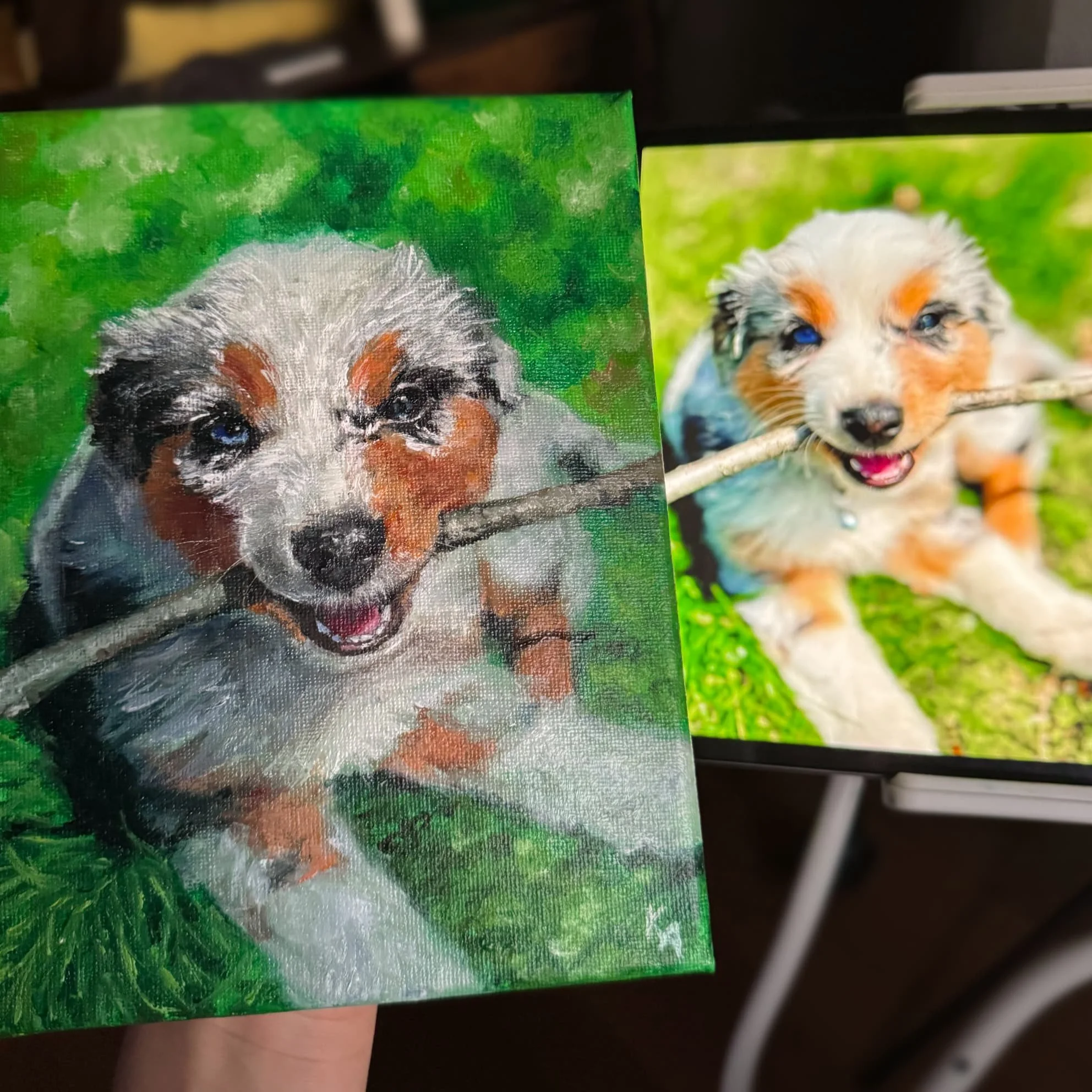 australian shepherd portrait from photo dog art custom pet portrait