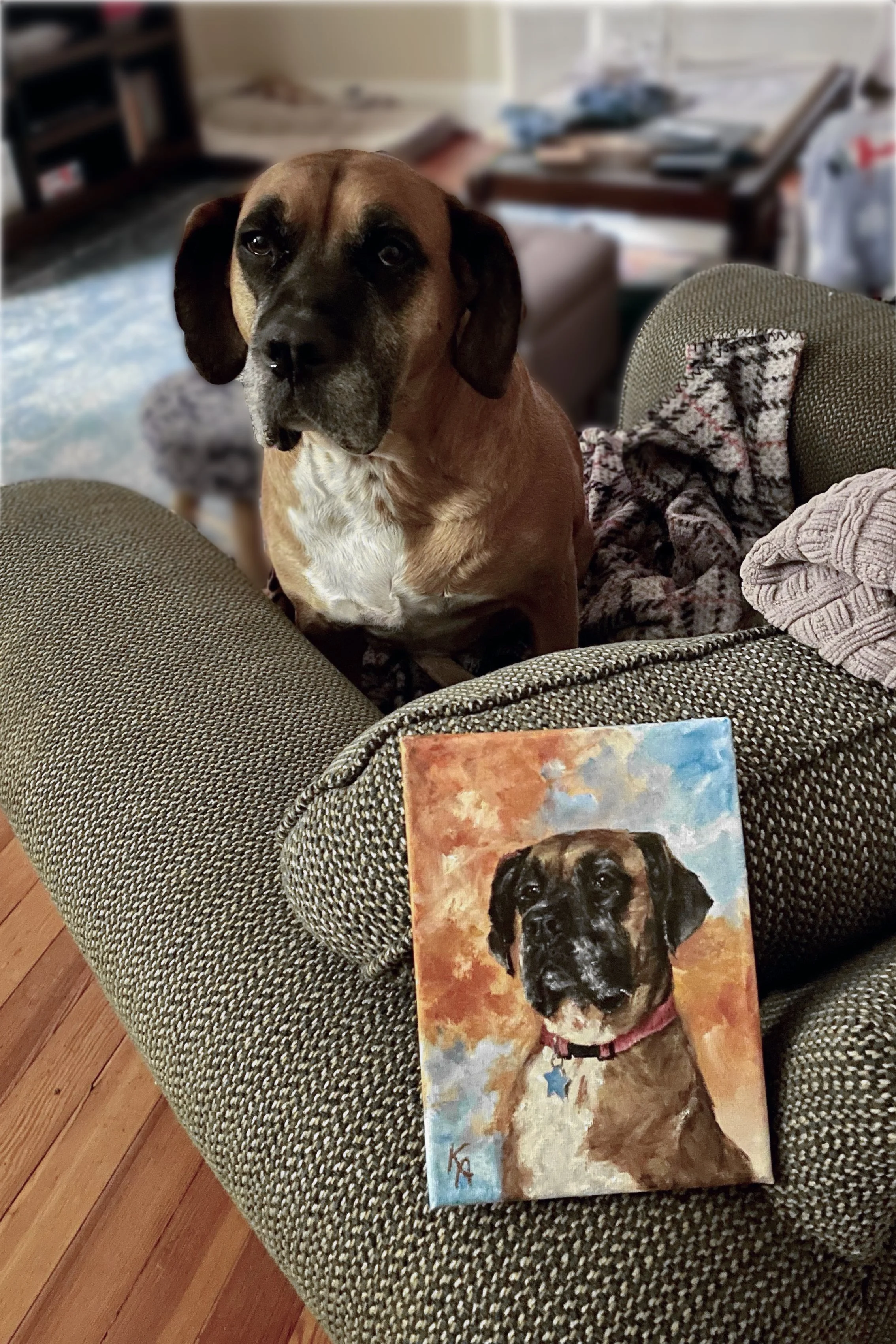 Custom pet portrait with collar detail painted in original colour