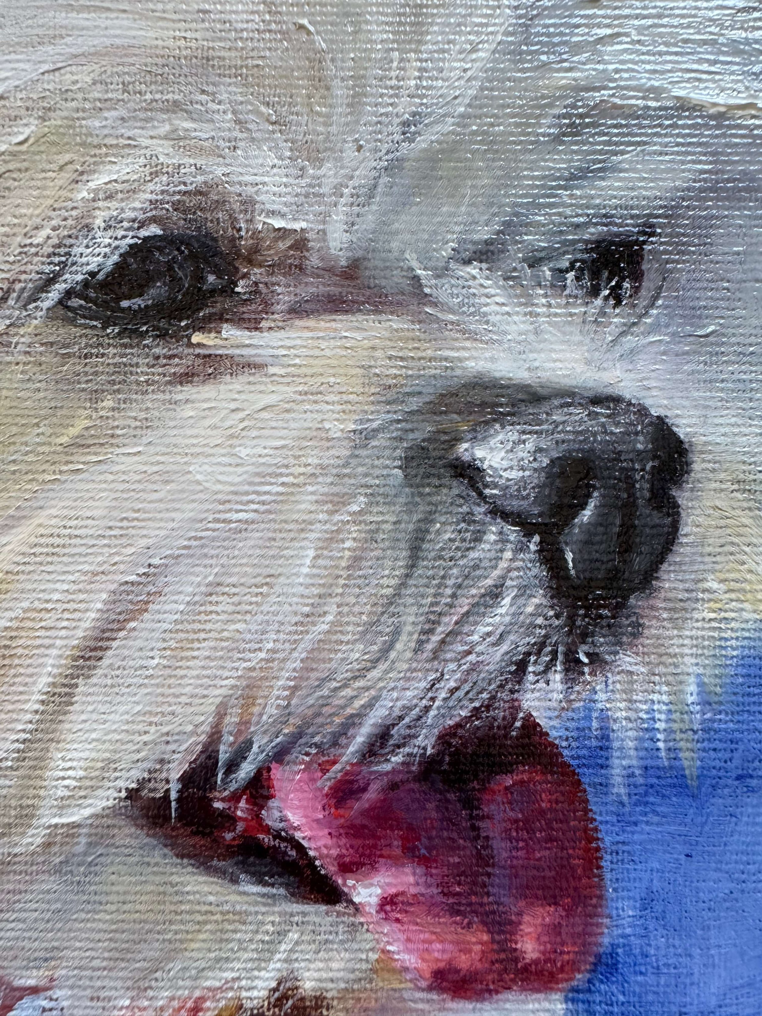 maltese dog portrait oil painting dog art custom dog portrait contemporary Maltese artwork hand painted details