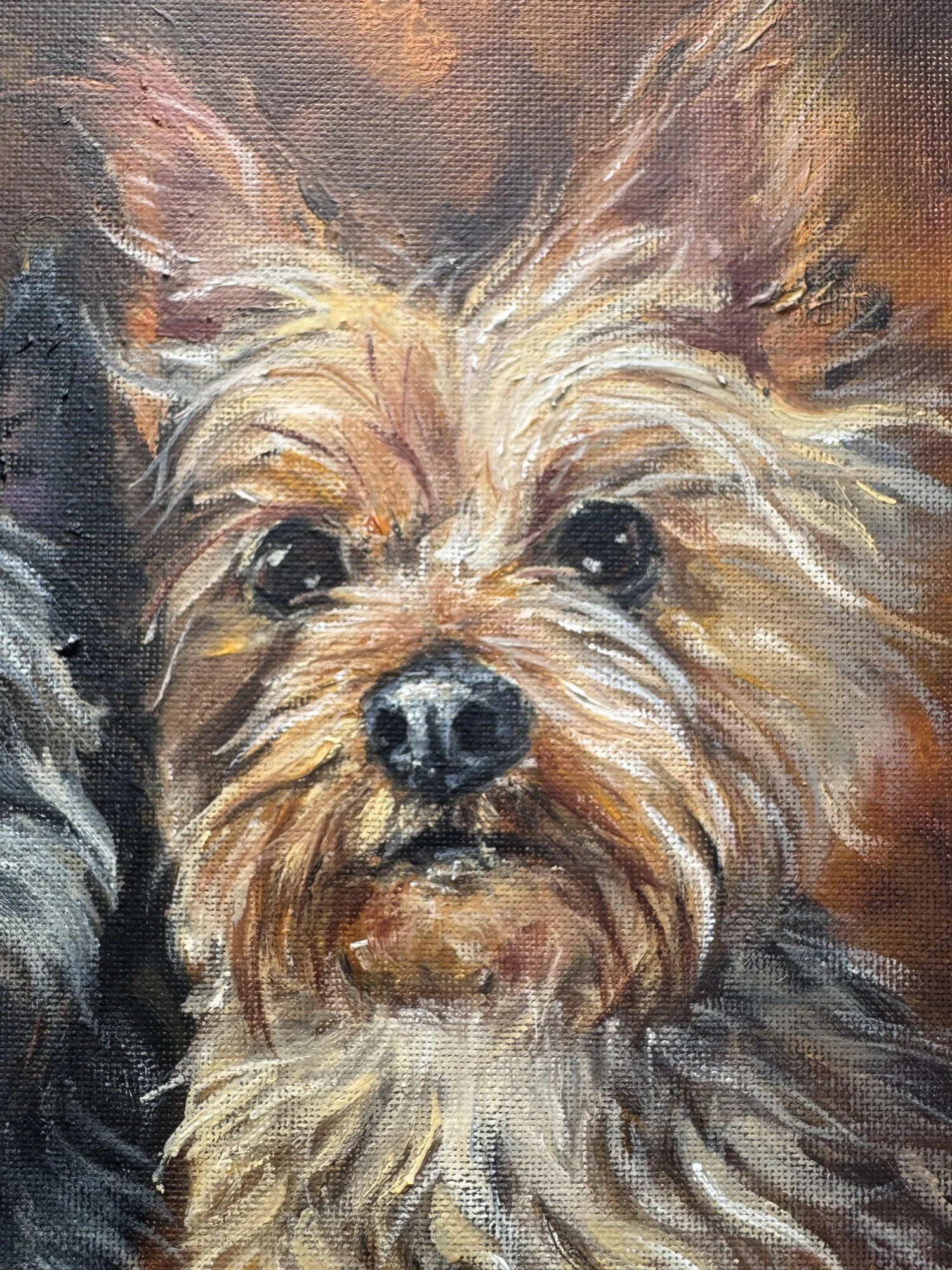 Close-up detail of a Yorkshire terrier's face in an oil painting, showing brushwork and canvas texture