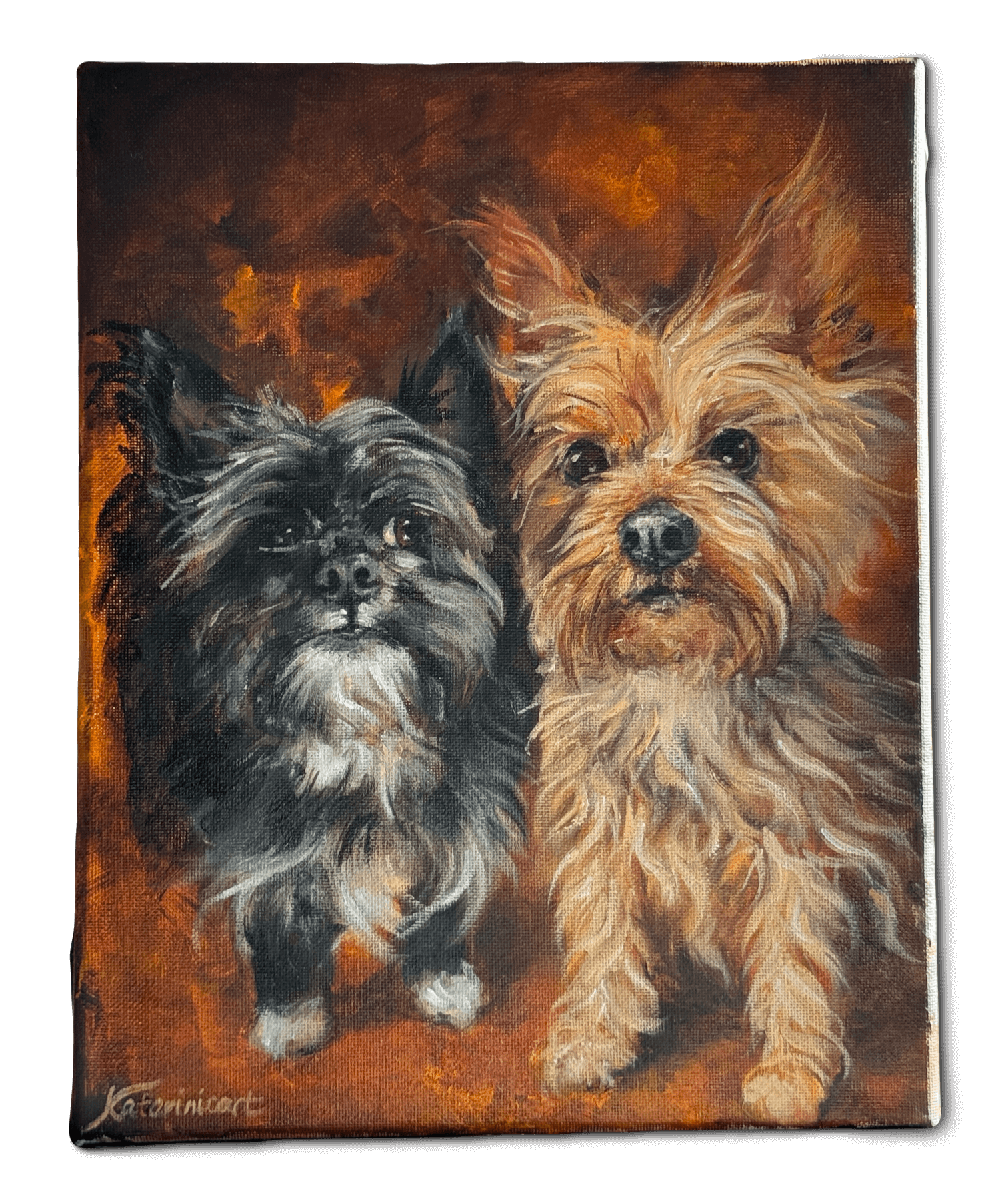 Yorkshire Terrier and crested tzu dog custom oil painting two pet portrait side eye art