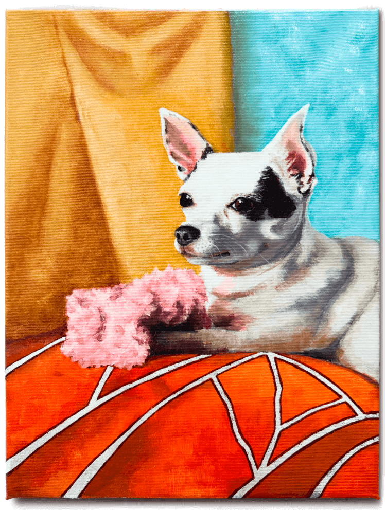 Portrait_Dogs_Chihuahua_Wutzi.png