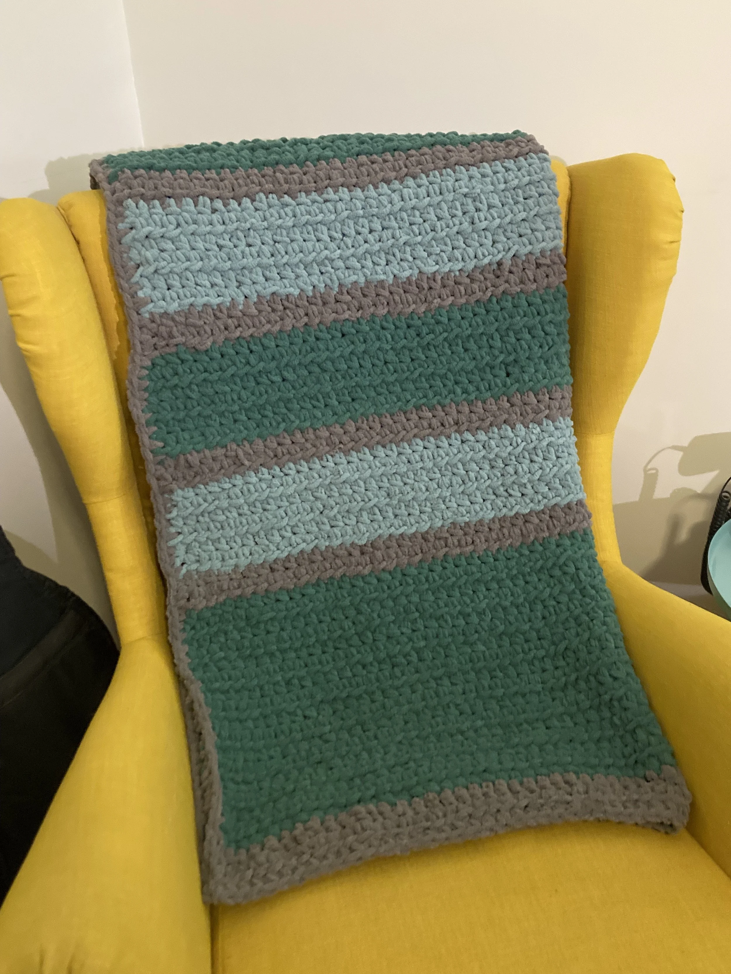 Plush Throw.jpg
