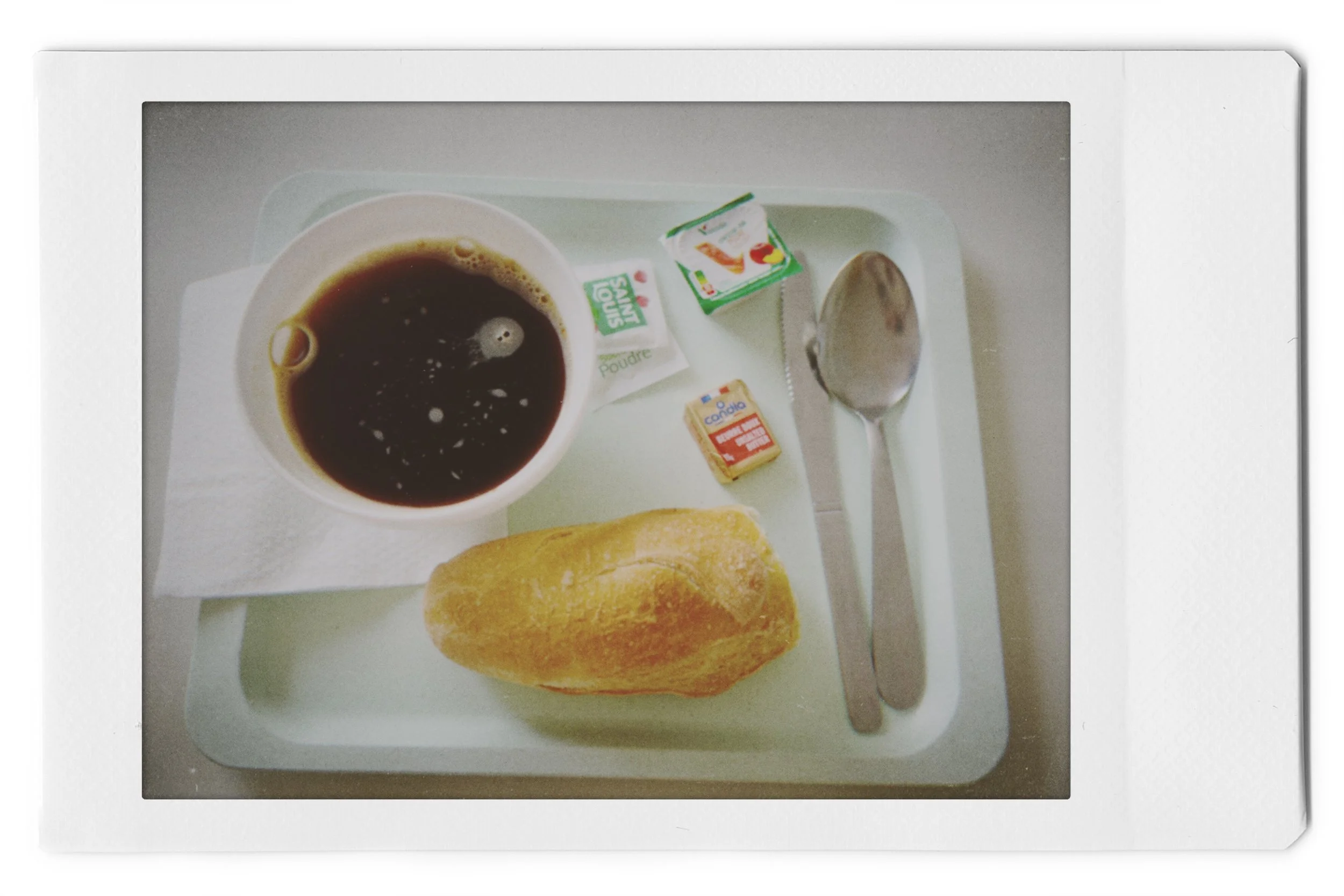 Dracénie, Petit déjeuner - I