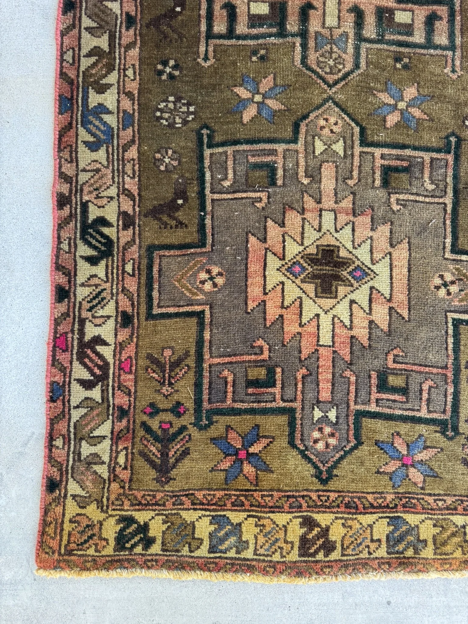 Billy Birds SKU B126