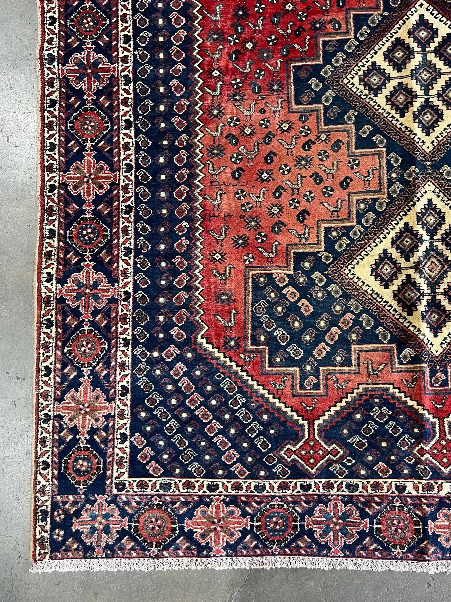 IMG_4154.JPG