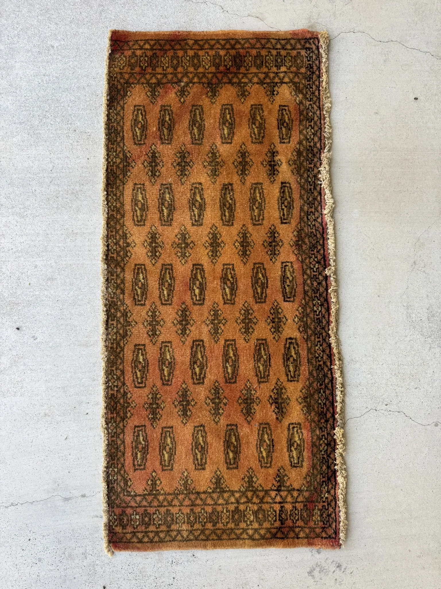 IMG_4580 - Copy.JPEG