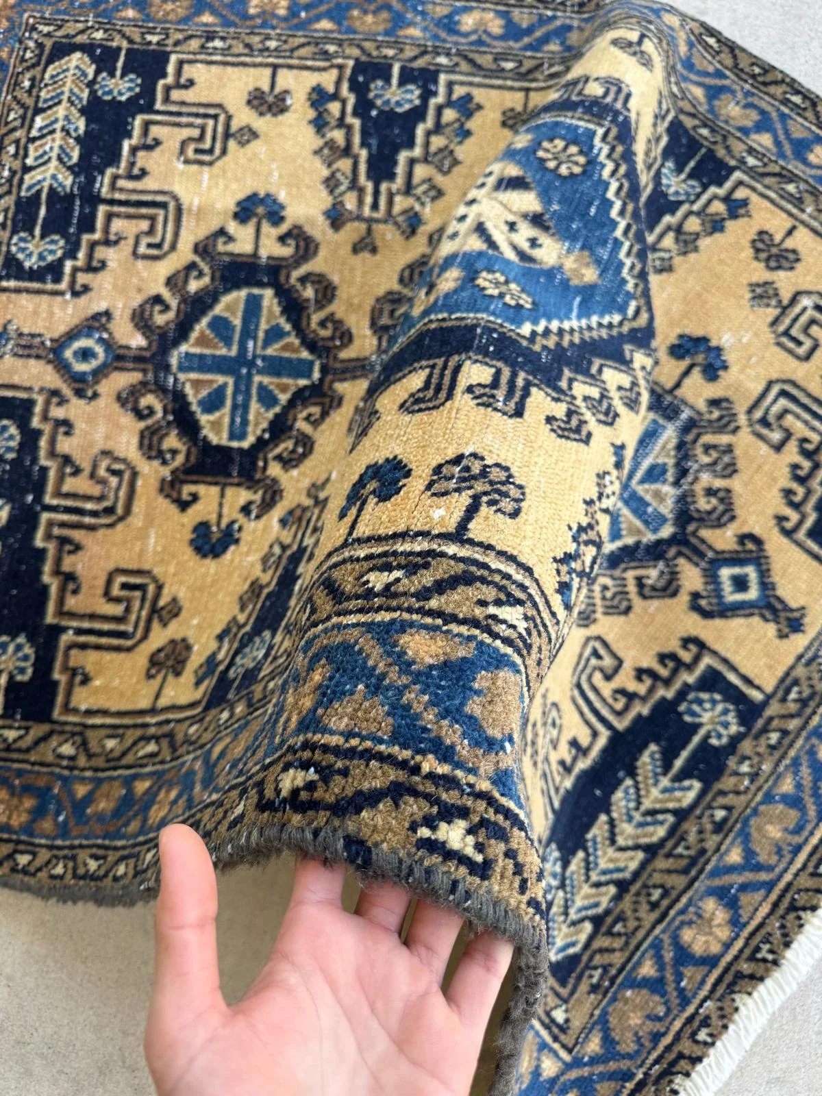 WhatsApp Image 2026-03-25 at 11.36.15 AM (6).jpeg