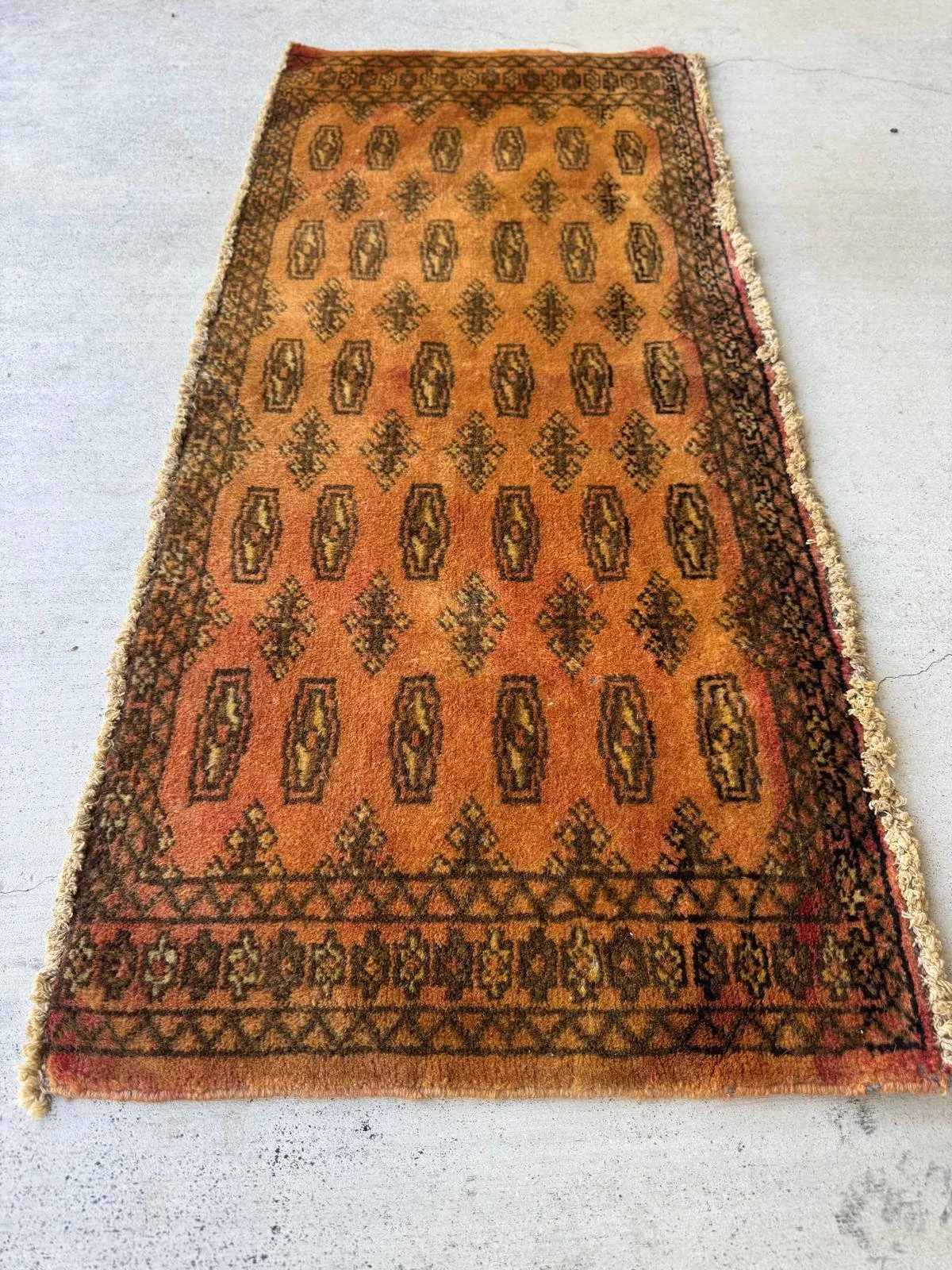 WhatsApp Image 2026-03-12 at 12.14.02 PM.jpeg