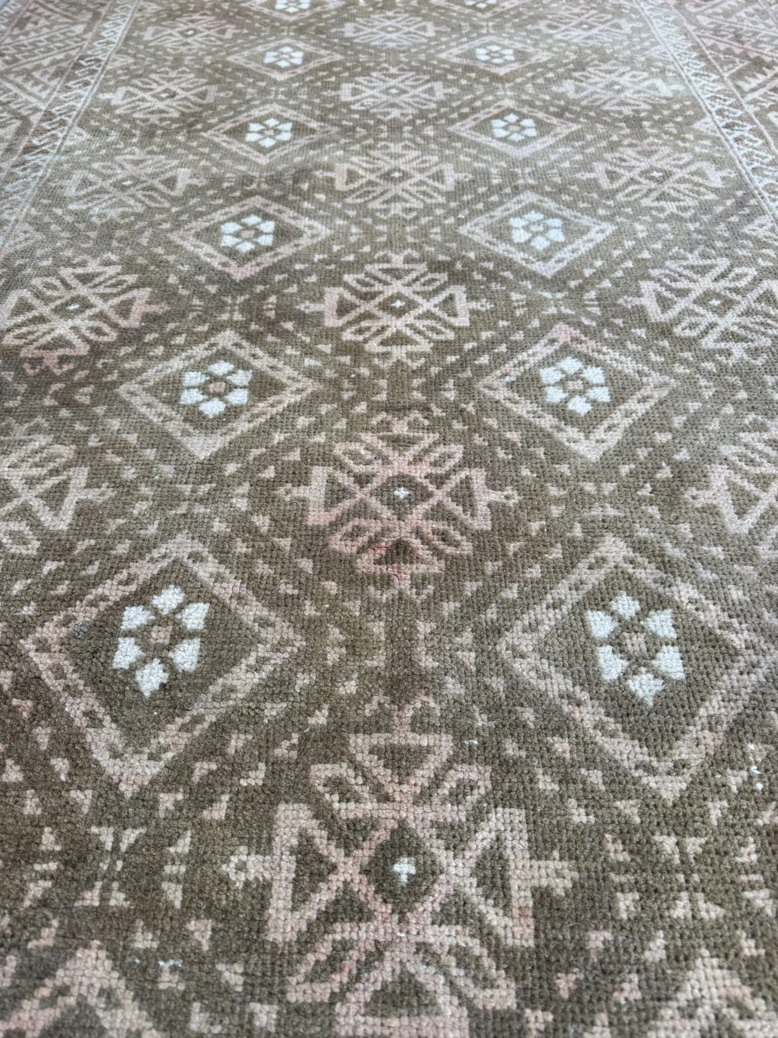 IMG_1420.JPEG
