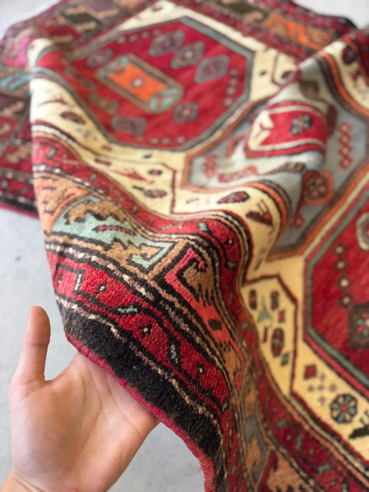 WhatsApp Image 2026-03-12 at 11.17.35 AM.jpeg