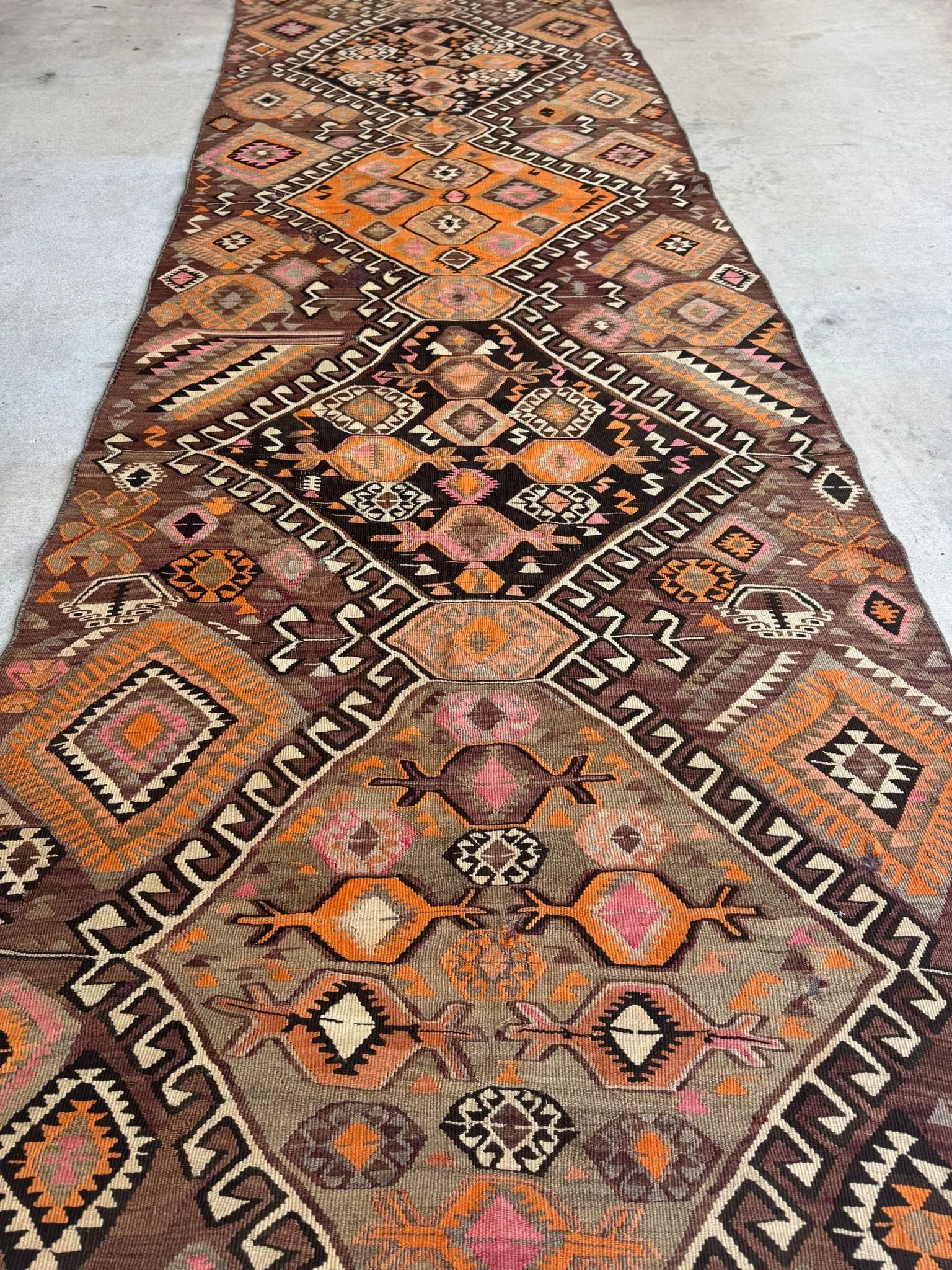 WhatsApp Image 2026-01-19 at 5.32.40 PM.jpeg