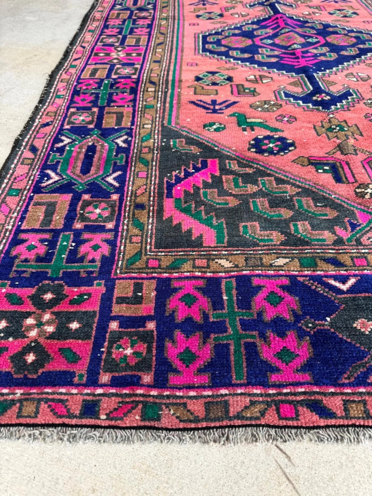 WhatsApp Image 2026-03-12 at 9.57.05 AM.jpeg