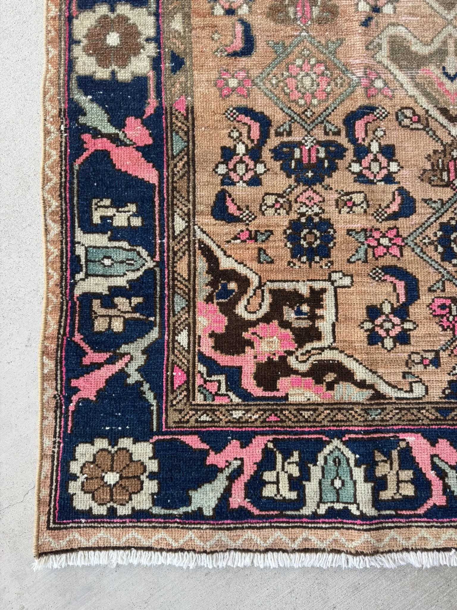 Desert Garden SKU C274